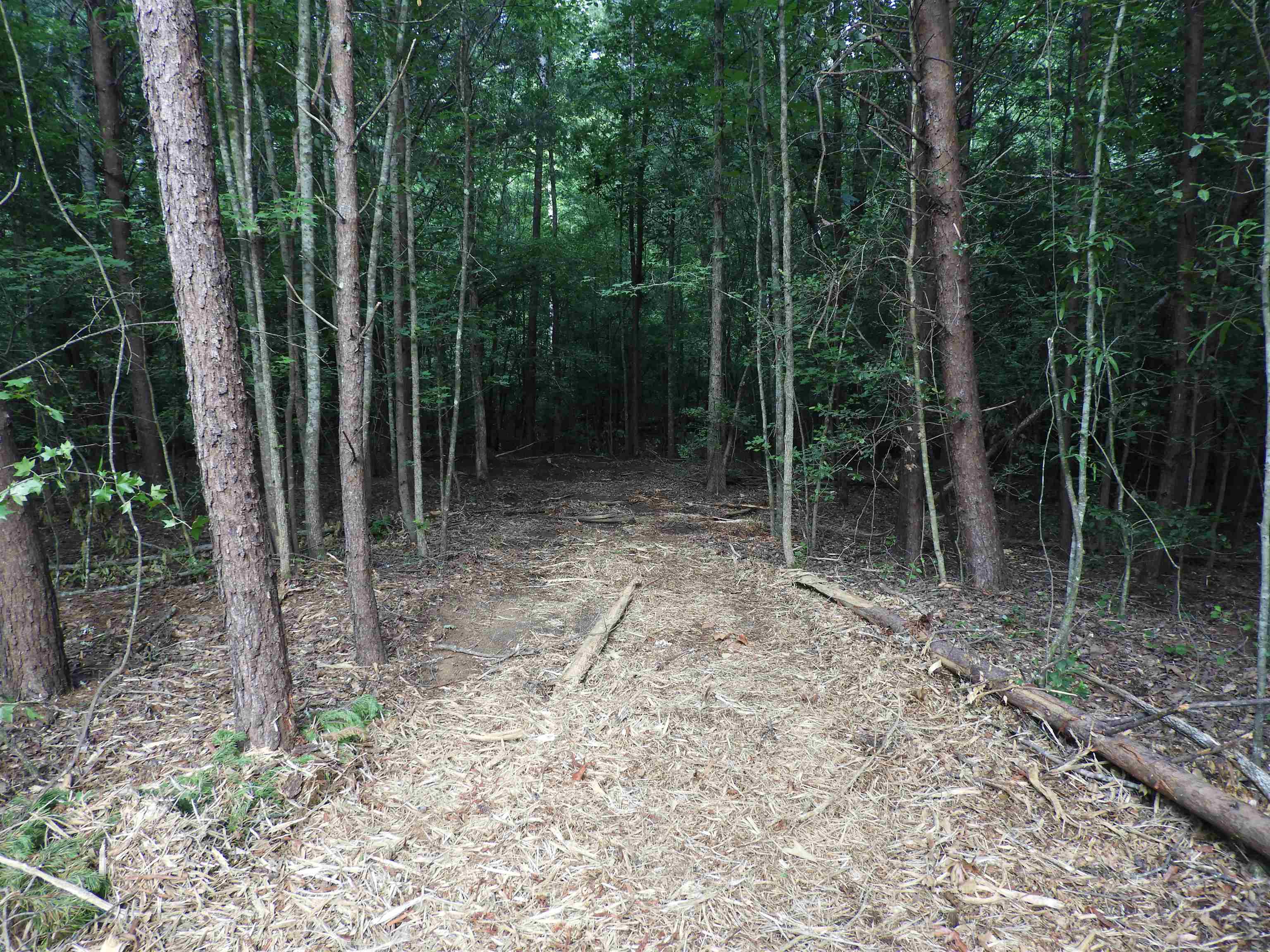 2109-tract D 2109-tract D Riddle Road Pauline, SC 29374 - Photo 12 of 42