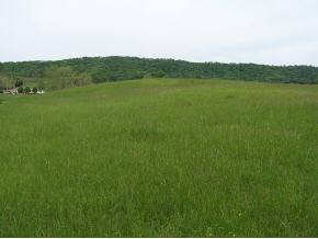 1066 Wheeler Road, Unit 12 Bulls Gap, TN 37711 - Photo 2 of 6 Photo 2