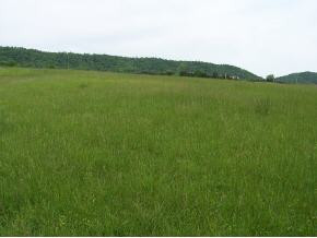 1066 Wheeler Road, Unit 12 Bulls Gap, TN 37711 - Photo 3 of 6 Photo 3