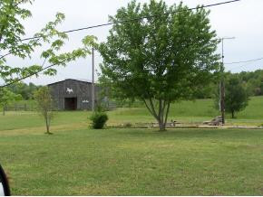 1066 Wheeler Road, Unit 12 Bulls Gap, TN 37711 - Photo 4 of 6 Photo 4