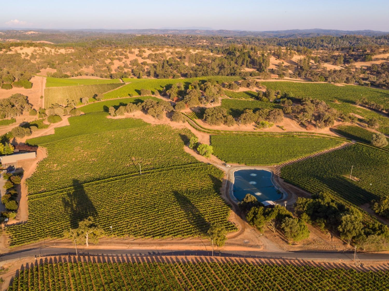 20540 Shenandoah School Road Plymouth, CA 95669 - Photo 1 of 17