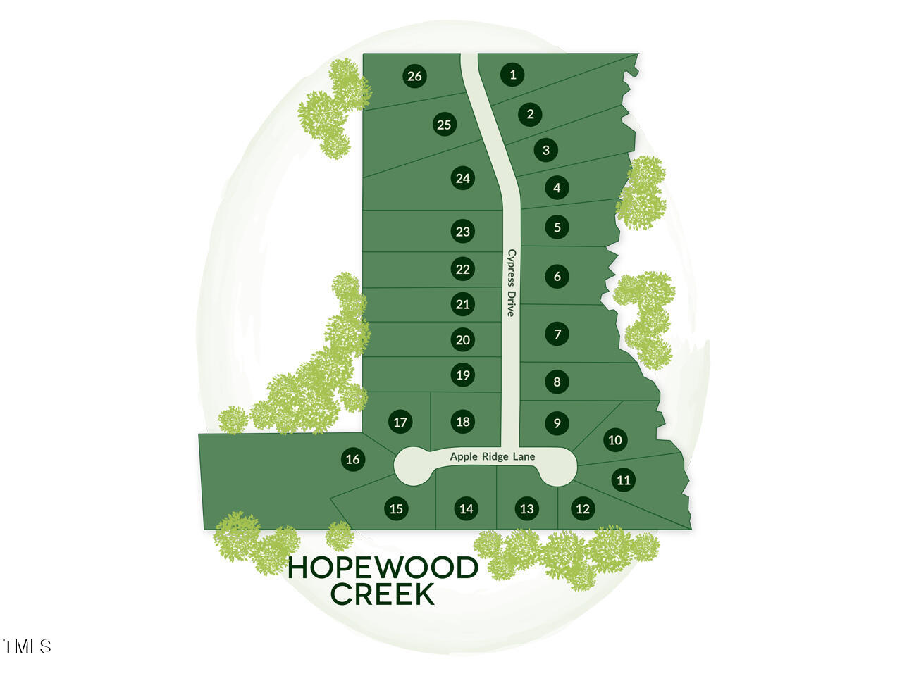4637 Apple Rdg Lane Graham, NC 27253 - Photo 14 of 15 MLS site plan