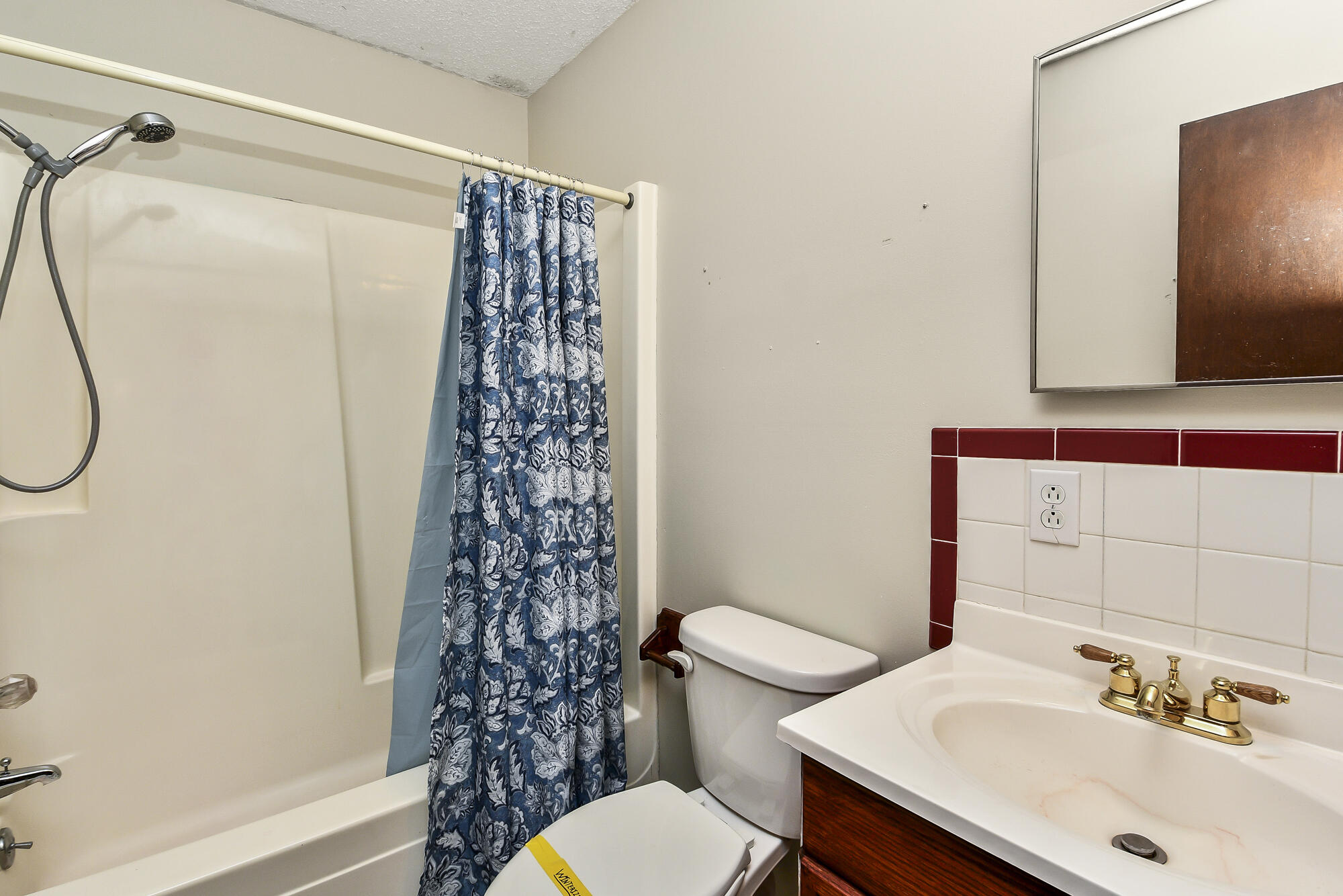 439 Driftwood Lane Reeds Spring, MO 65737 - Photo 20 of 34 Bathroom 2 DW