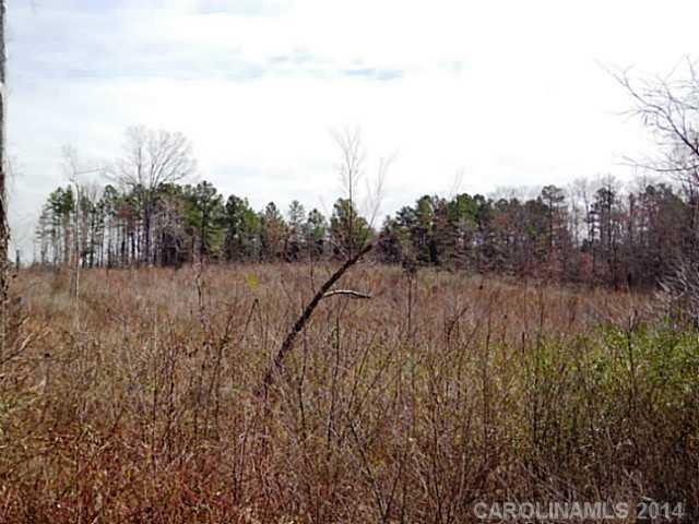 22.416 A Riddle Mill Road Lake Wylie, SC 29710 - Photo 9 of 9 Gallery Image 9