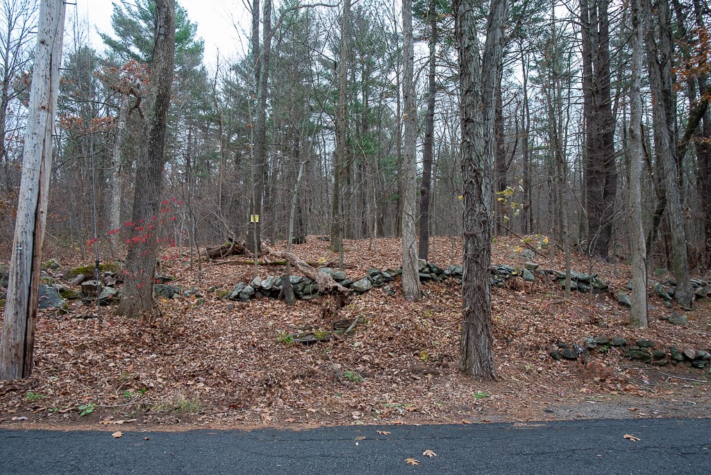 44 Old Mill Road Sutton, MA 01590 - Photo 1 of 7 Gallery Image 1