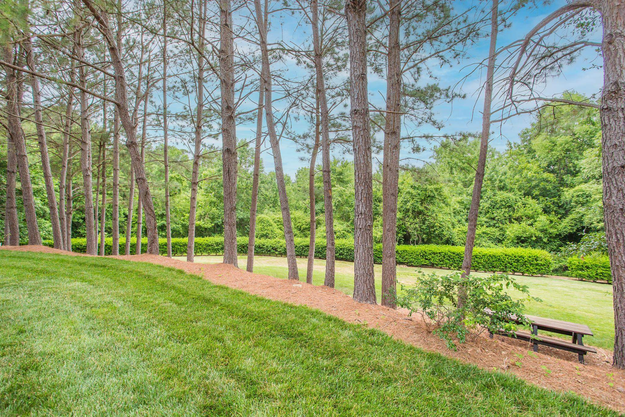 6905 Middleboro Drive Raleigh, NC 27612 - Photo 23 of 23 Peaceful nature views round out this amazing home! Backyard