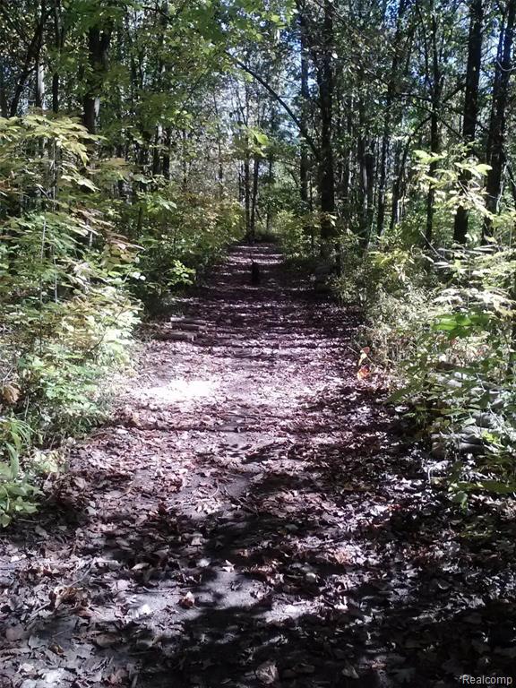 23800 Clark Road Belleville, MI 48111 - Photo 8 of 42