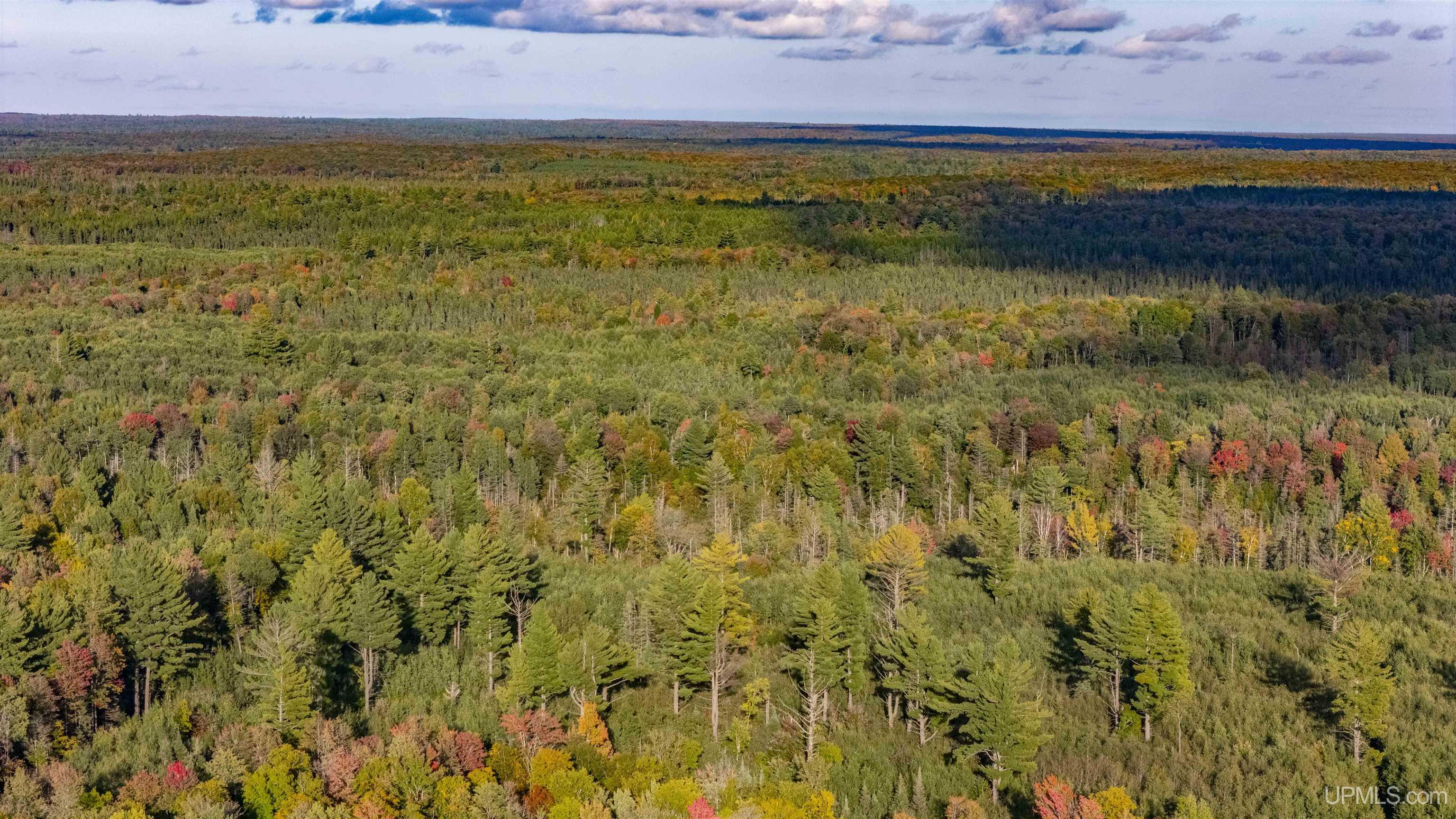 Tbd Luke Road Amasa, MI 49903 - Photo 40 of 64