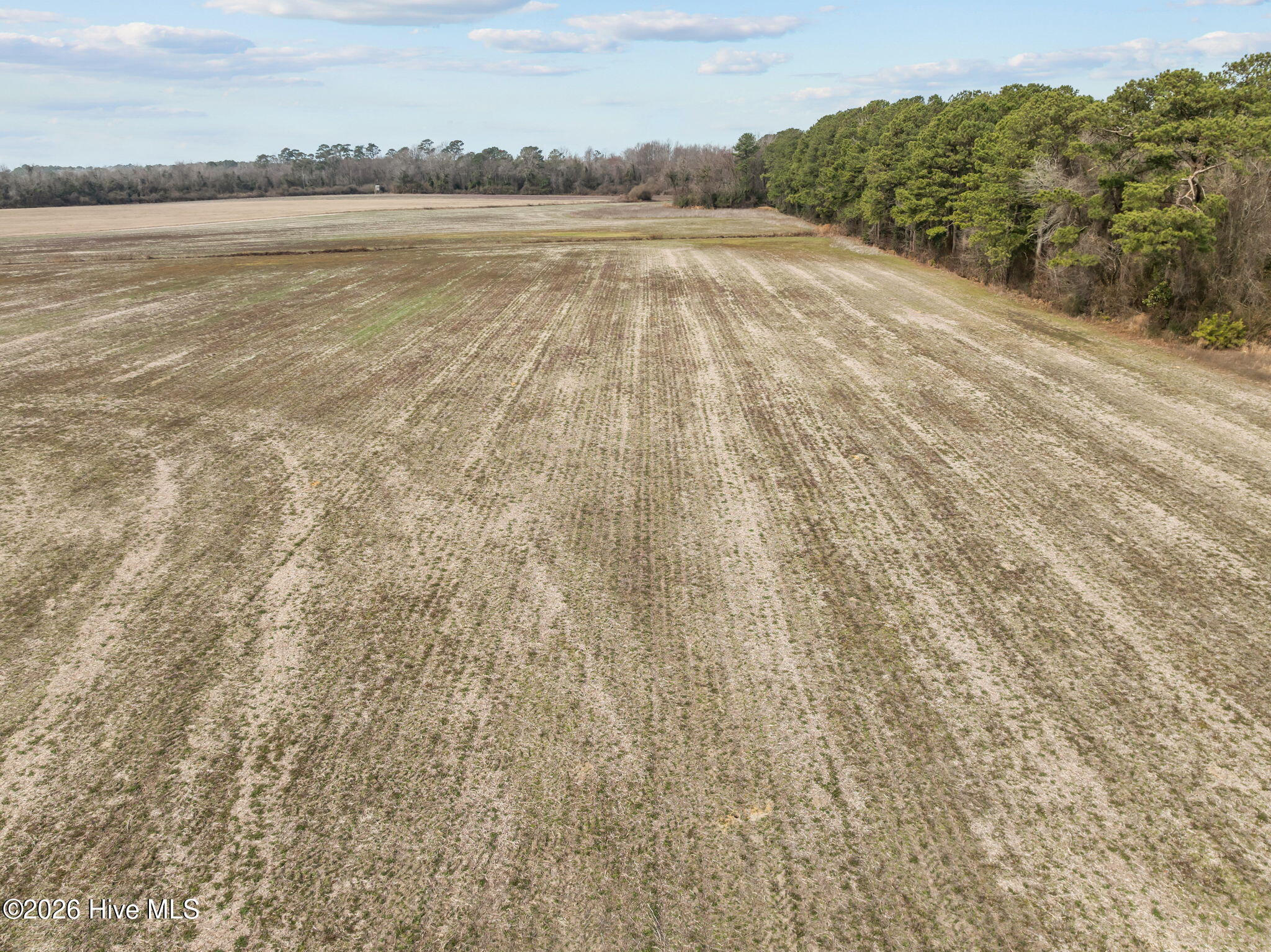 223 North Blizzard Town Road Beulaville, NC 28518 - Photo 11 of 20 10-web-or-mls-10