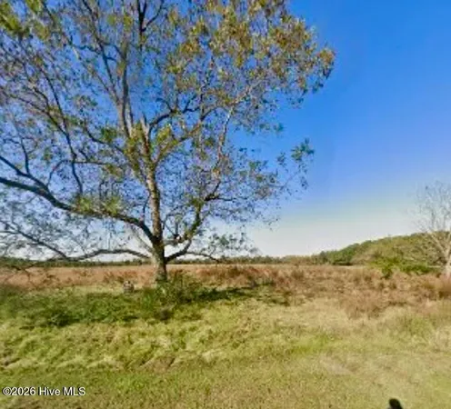 $260,000 | 223 North Blizzard Town Road, Beulaville, NC 28518