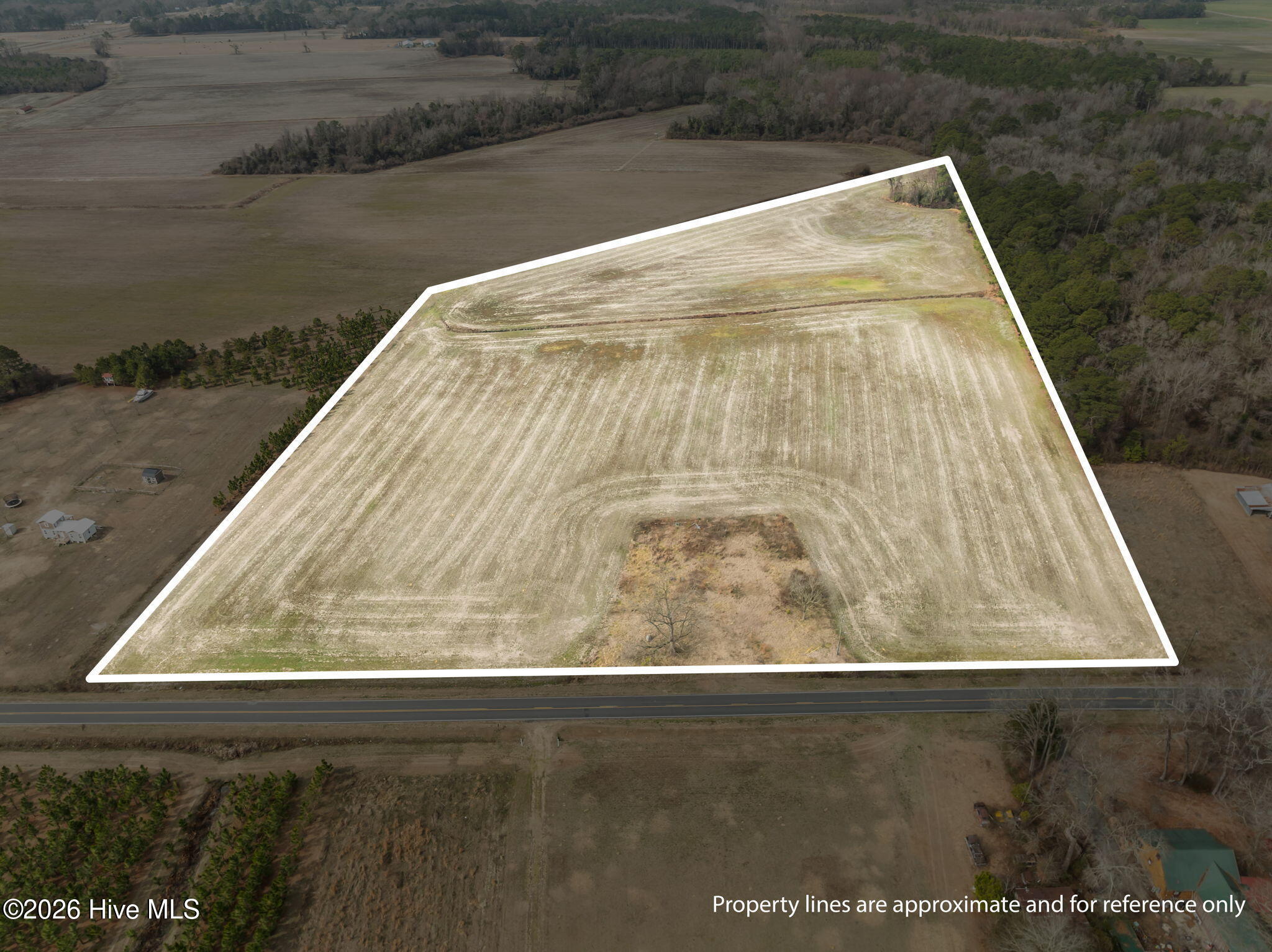 223 North Blizzard Town Road Beulaville, NC 28518 - Photo 2 of 20 18.75 ACRES