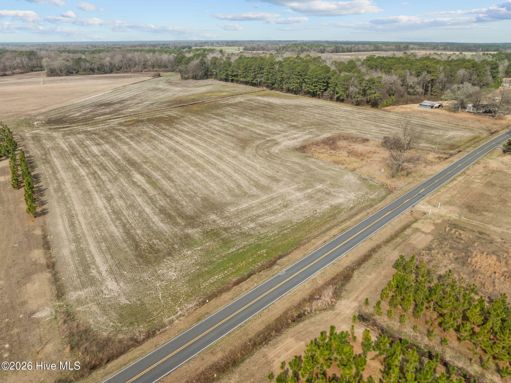 223 North Blizzard Town Road Beulaville, NC 28518 - Photo 4 of 20 4-web-or-mls-03