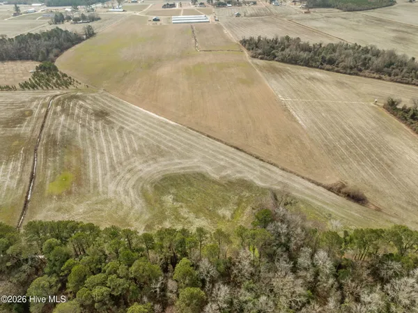 $260,000 | 223 North Blizzard Town Road, Beulaville, NC 28518