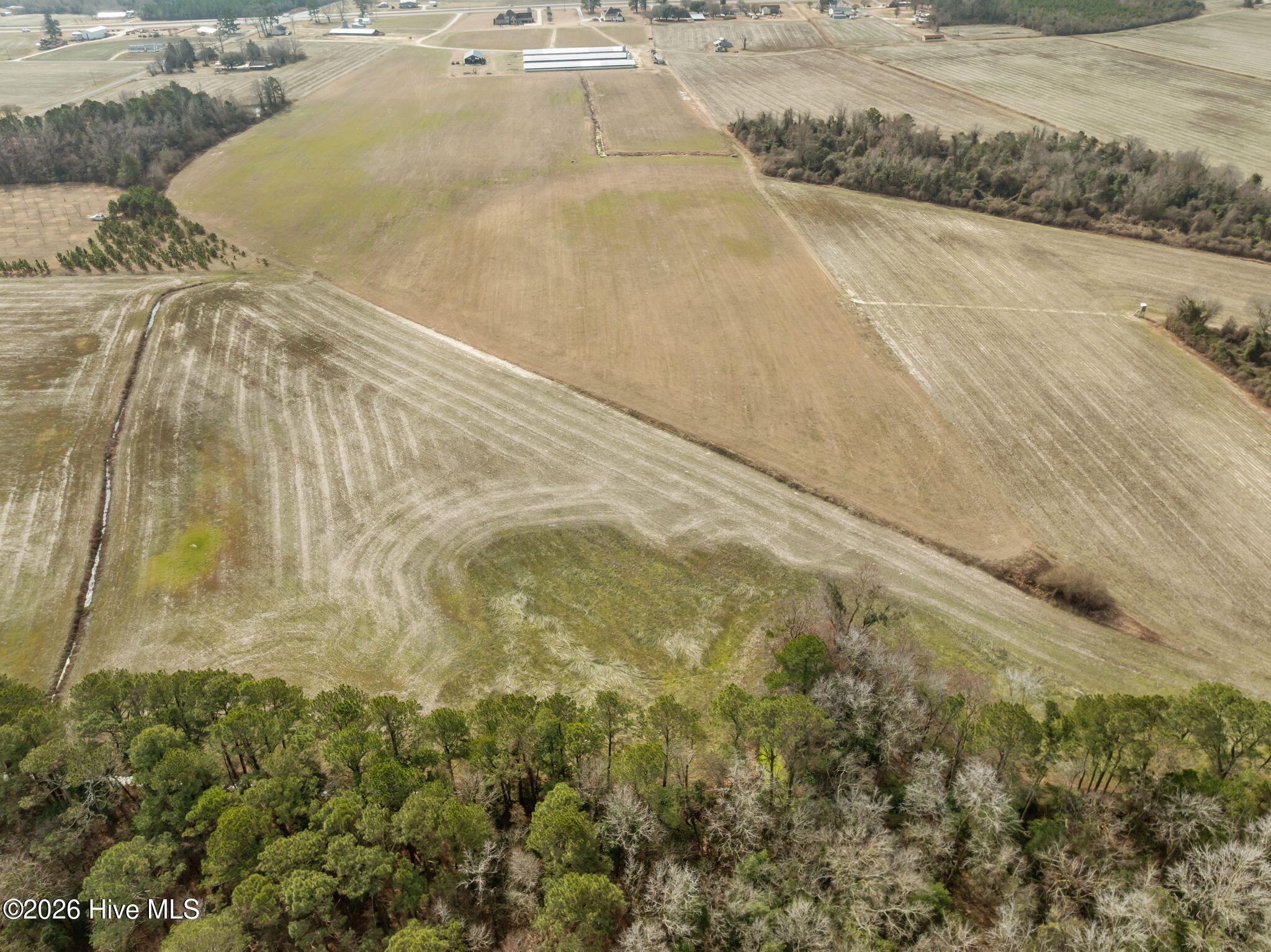 223 North Blizzard Town Road Beulaville, NC 28518 - Photo 10 of 20 9-web-or-mls-09