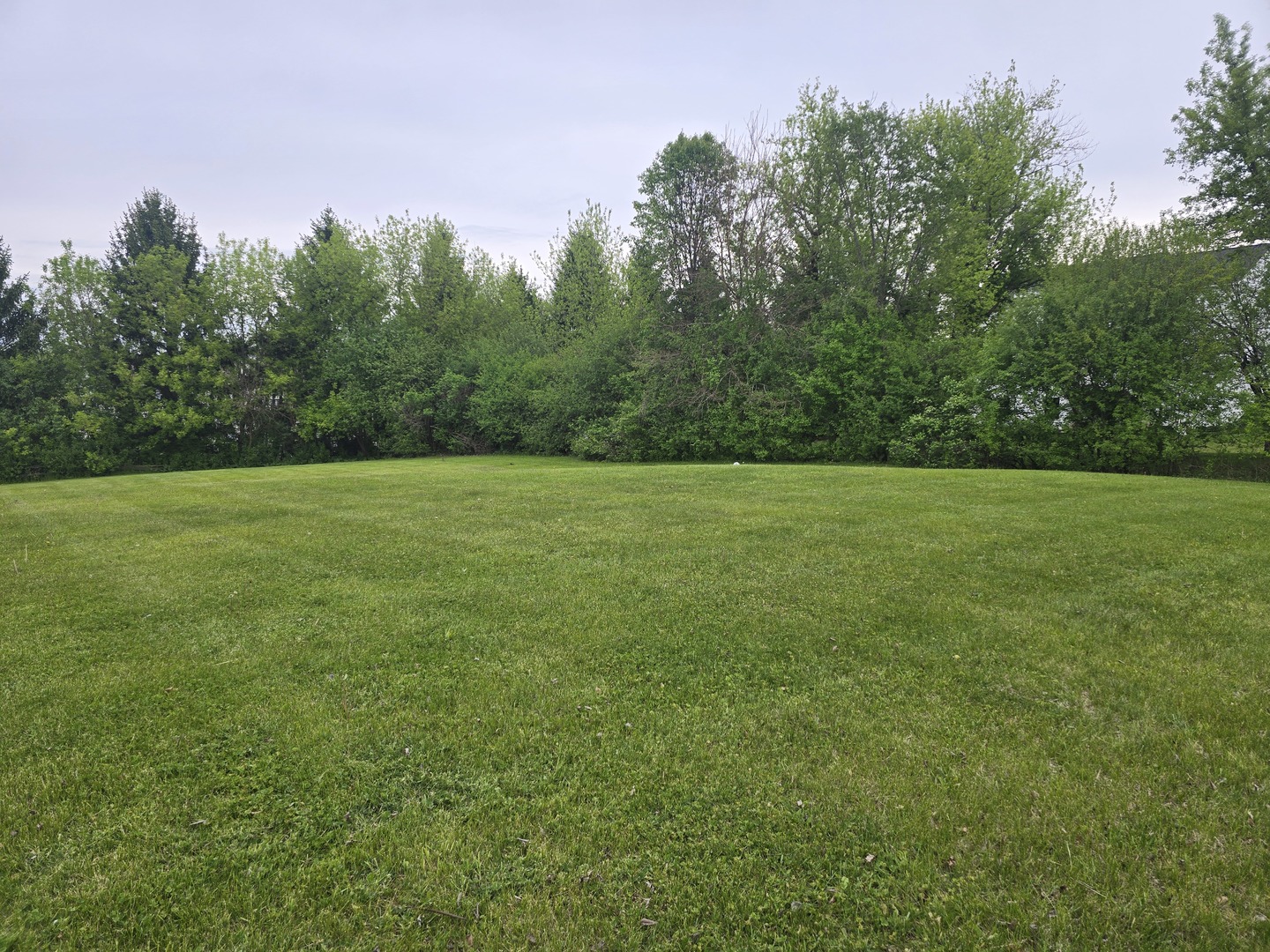 7 Springbrook Lane Algonquin, IL 60102 - Photo 2 of 4