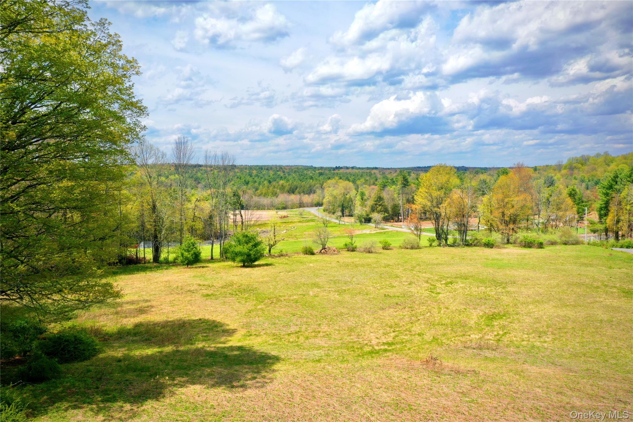 70 Royce Road Bethel, NY 12786 - Photo 6 of 48 a view of an ocean