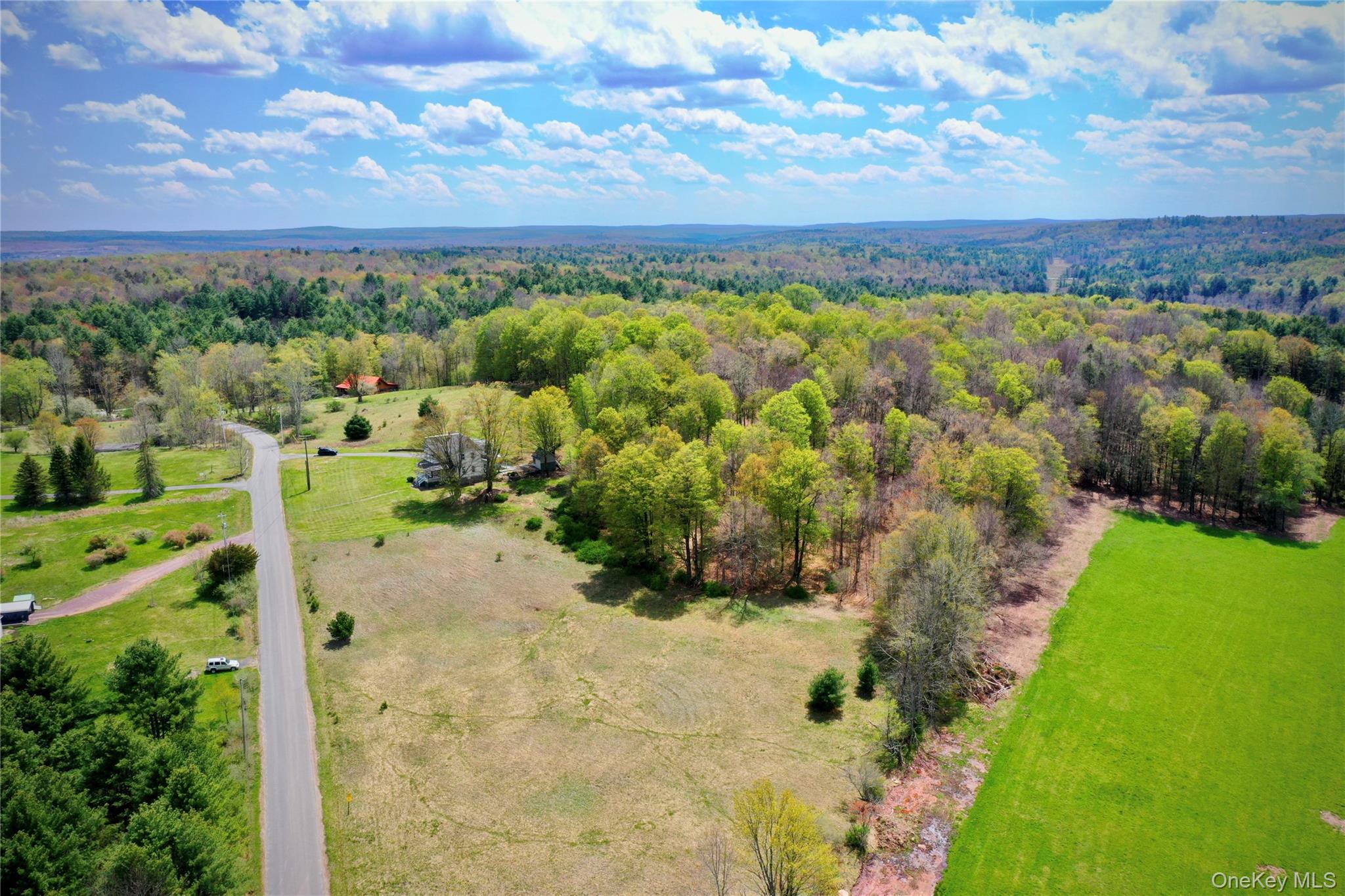 70 Royce Road Bethel, NY 12786 - Photo 10 of 48 a view of a yard with ocean