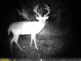 $260,000 | 3025 Utah Terrace, Rantoul, KS 66079