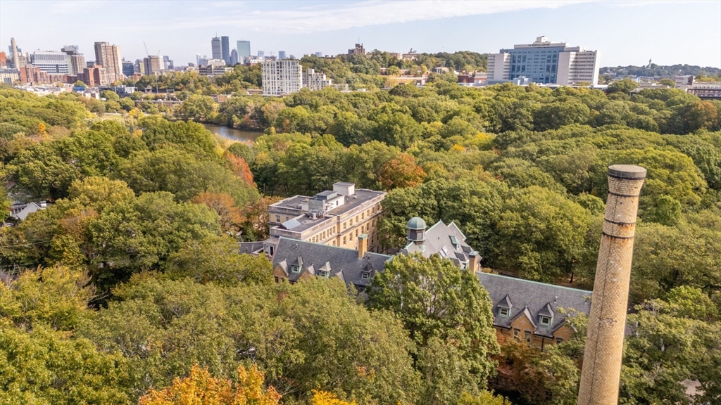 60 Glen Road, Unit 101 Brookline, MA 02445 - Photo 37 of 42