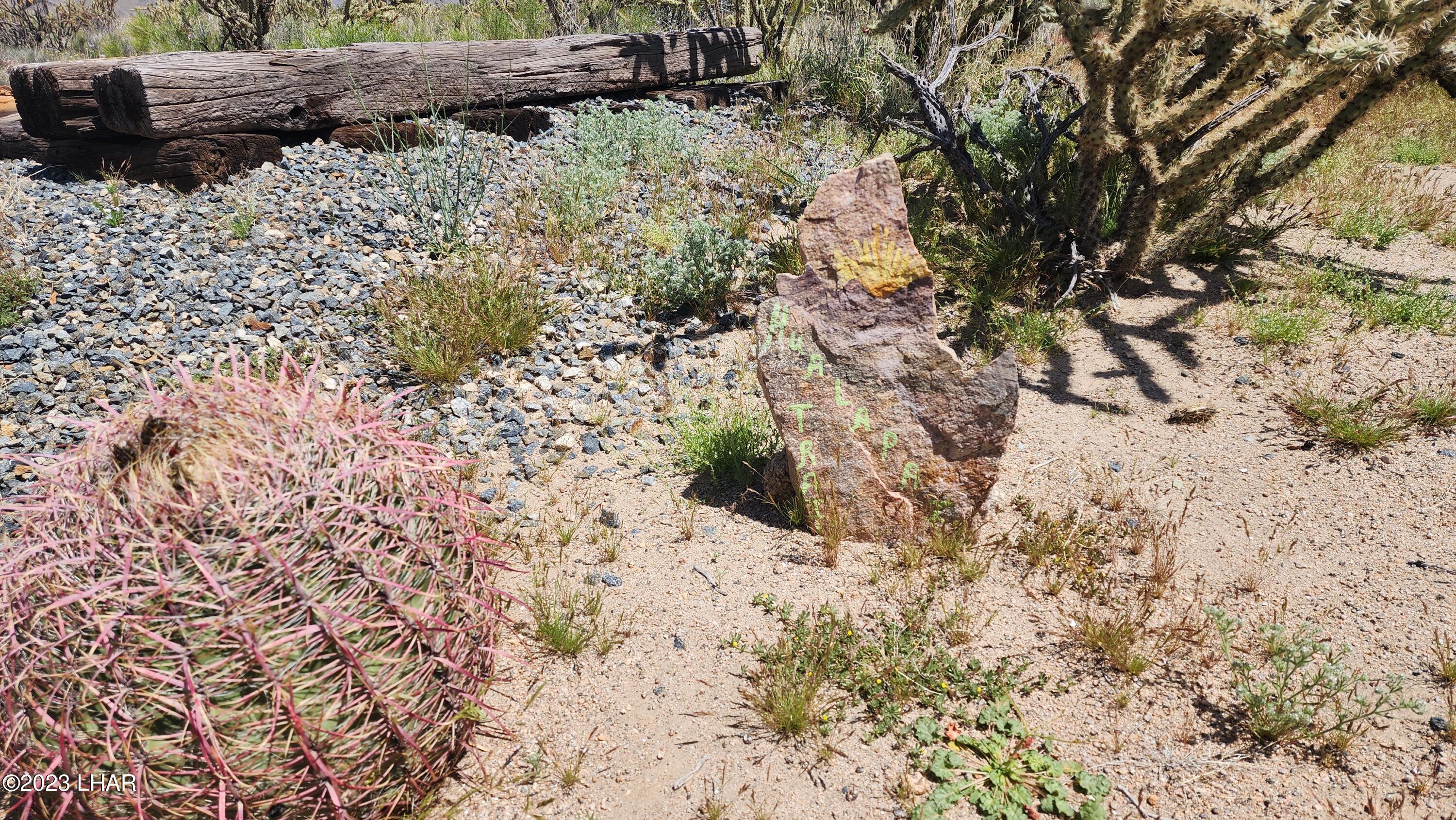 2364 South Gold Mine Road Yucca, AZ 86438 - Photo 14 of 51 20230415_120748
