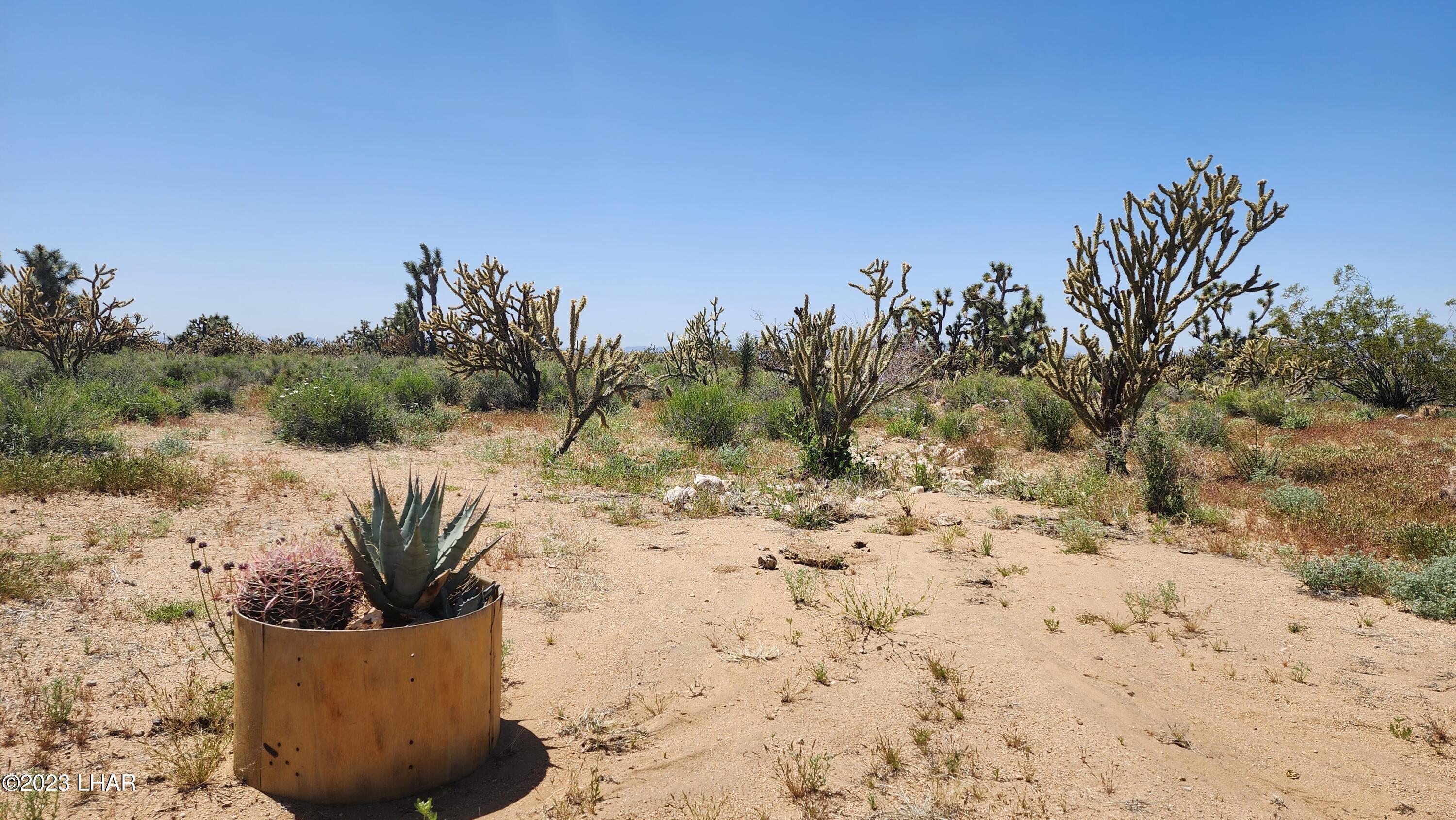 2364 South Gold Mine Road Yucca, AZ 86438 - Photo 15 of 51 20230415_121011