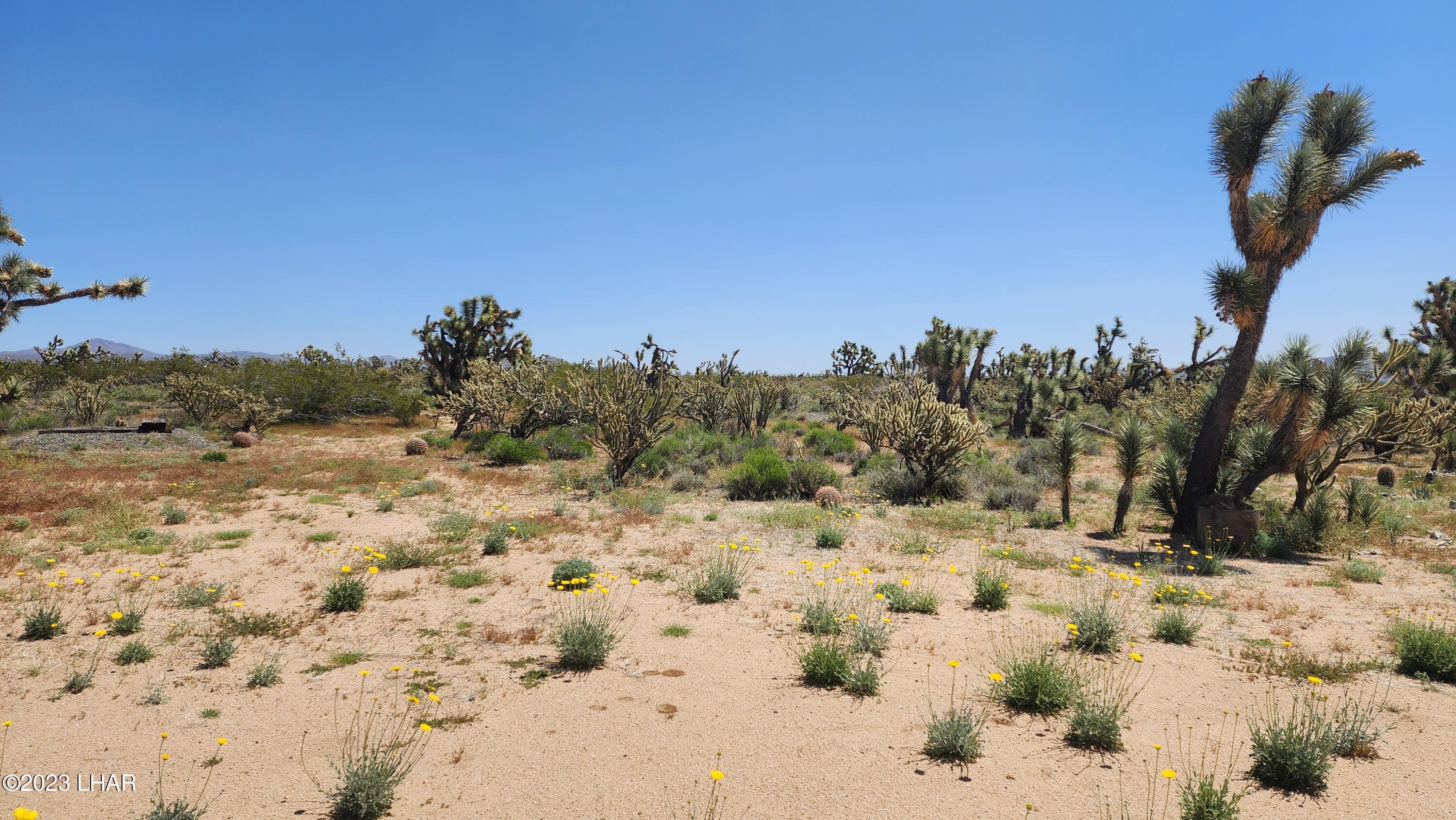 2364 South Gold Mine Road Yucca, AZ 86438 - Photo 17 of 51 20230415_120652
