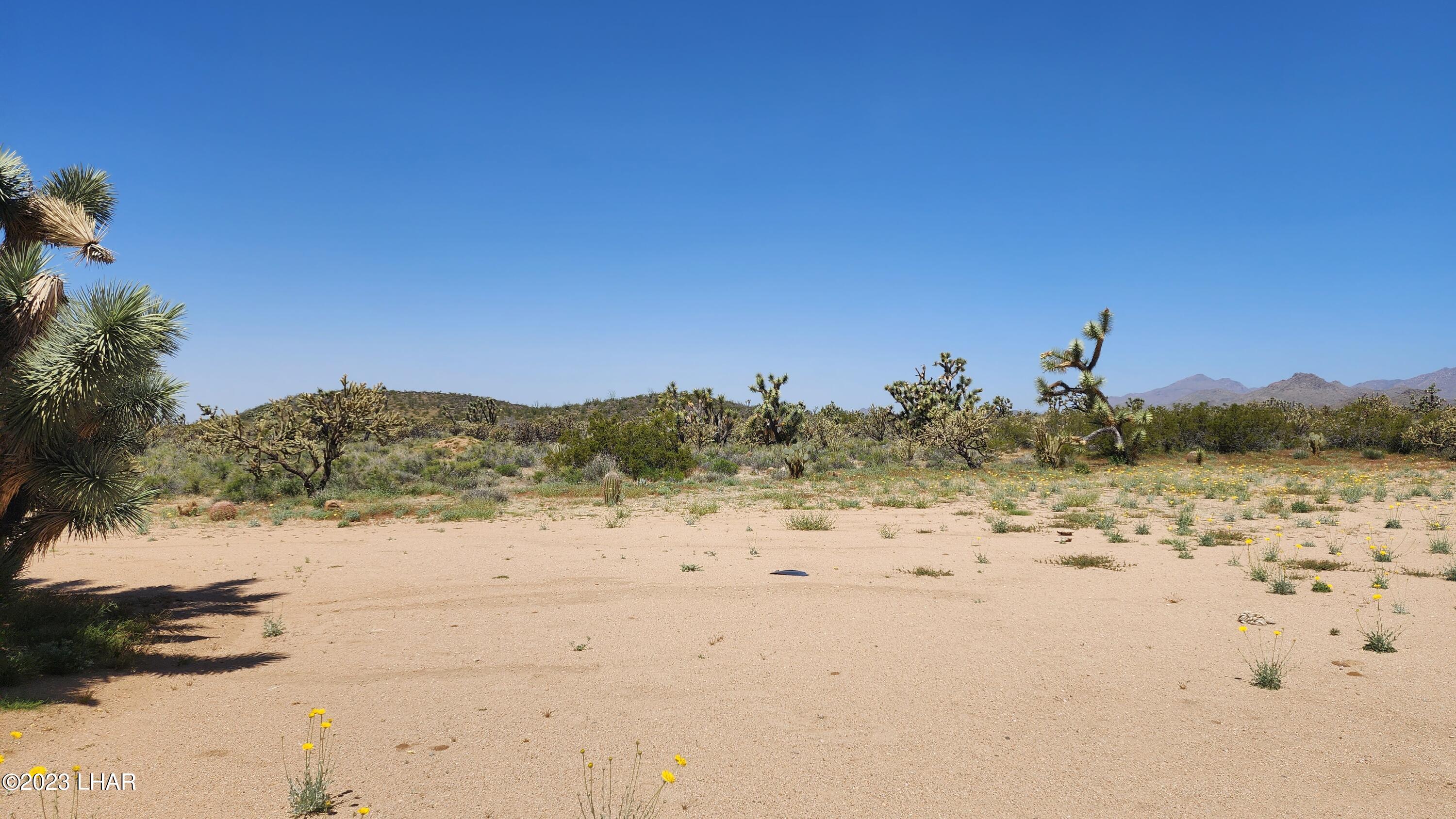 2364 South Gold Mine Road Yucca, AZ 86438 - Photo 19 of 51 20230415_120702