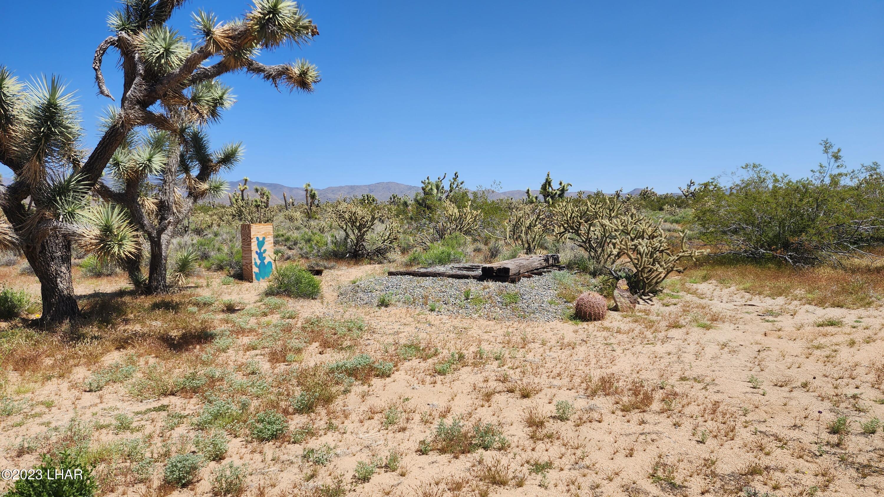 2364 South Gold Mine Road Yucca, AZ 86438 - Photo 20 of 51 20230415_120726