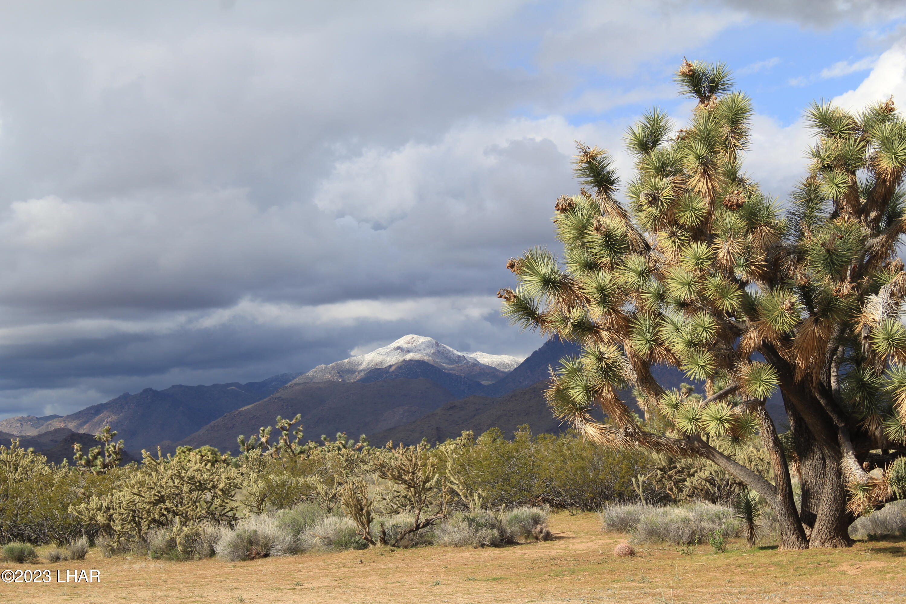 2364 South Gold Mine Road Yucca, AZ 86438 - Photo 2 of 51 40-Acres with a WELL