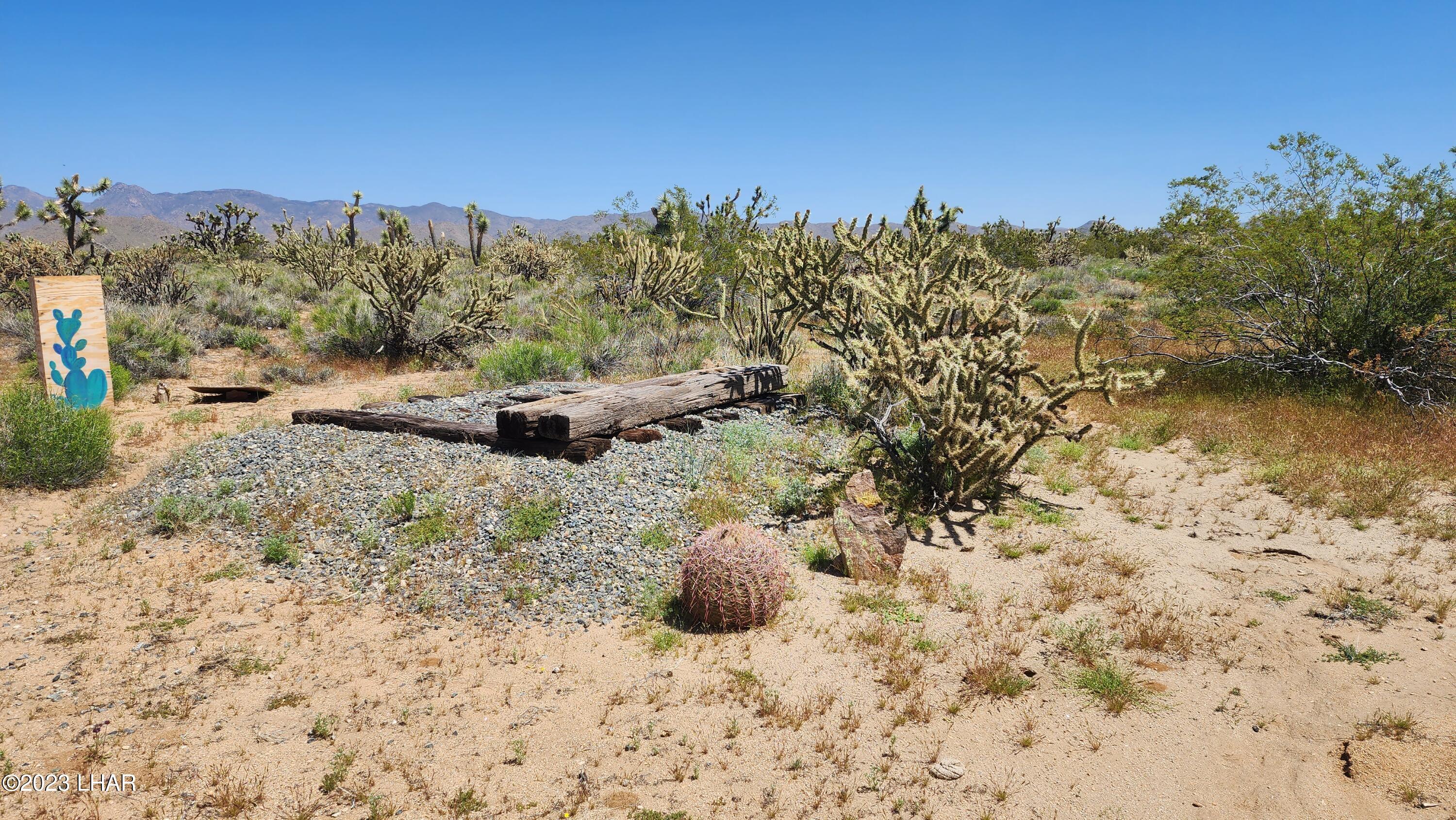 2364 South Gold Mine Road Yucca, AZ 86438 - Photo 22 of 51 20230415_120736