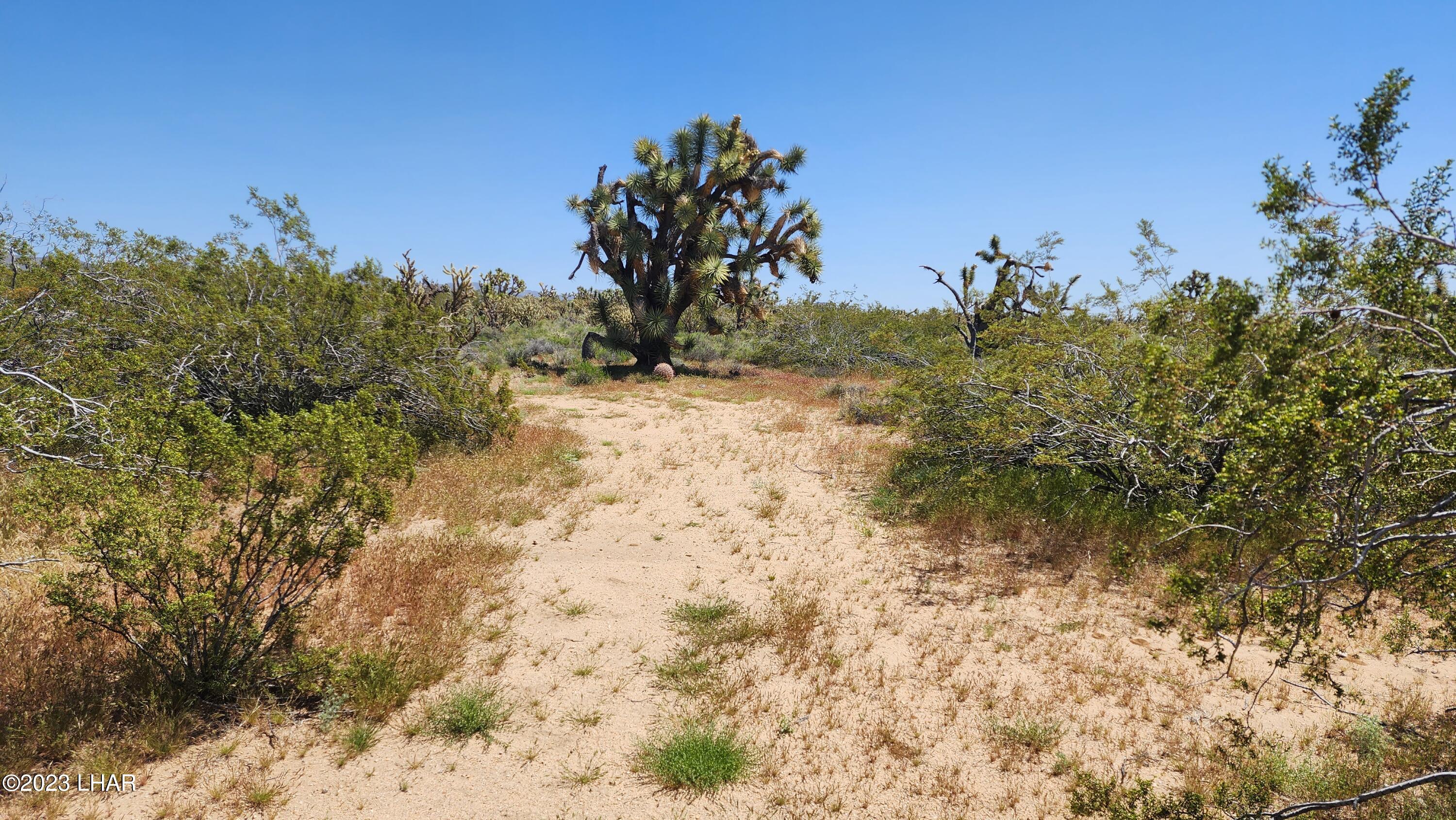 2364 South Gold Mine Road Yucca, AZ 86438 - Photo 23 of 51 20230415_120803