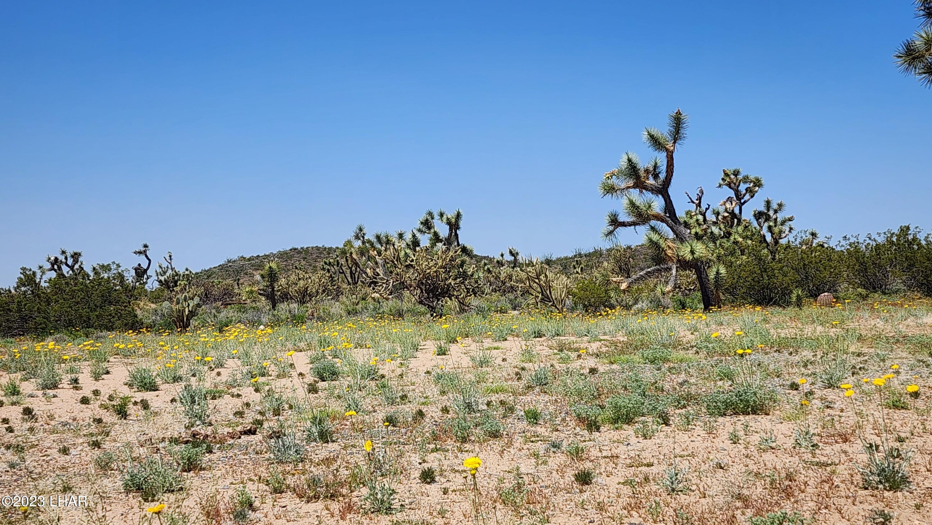 2364 South Gold Mine Road Yucca, AZ 86438 - Photo 24 of 51 20230415_120828