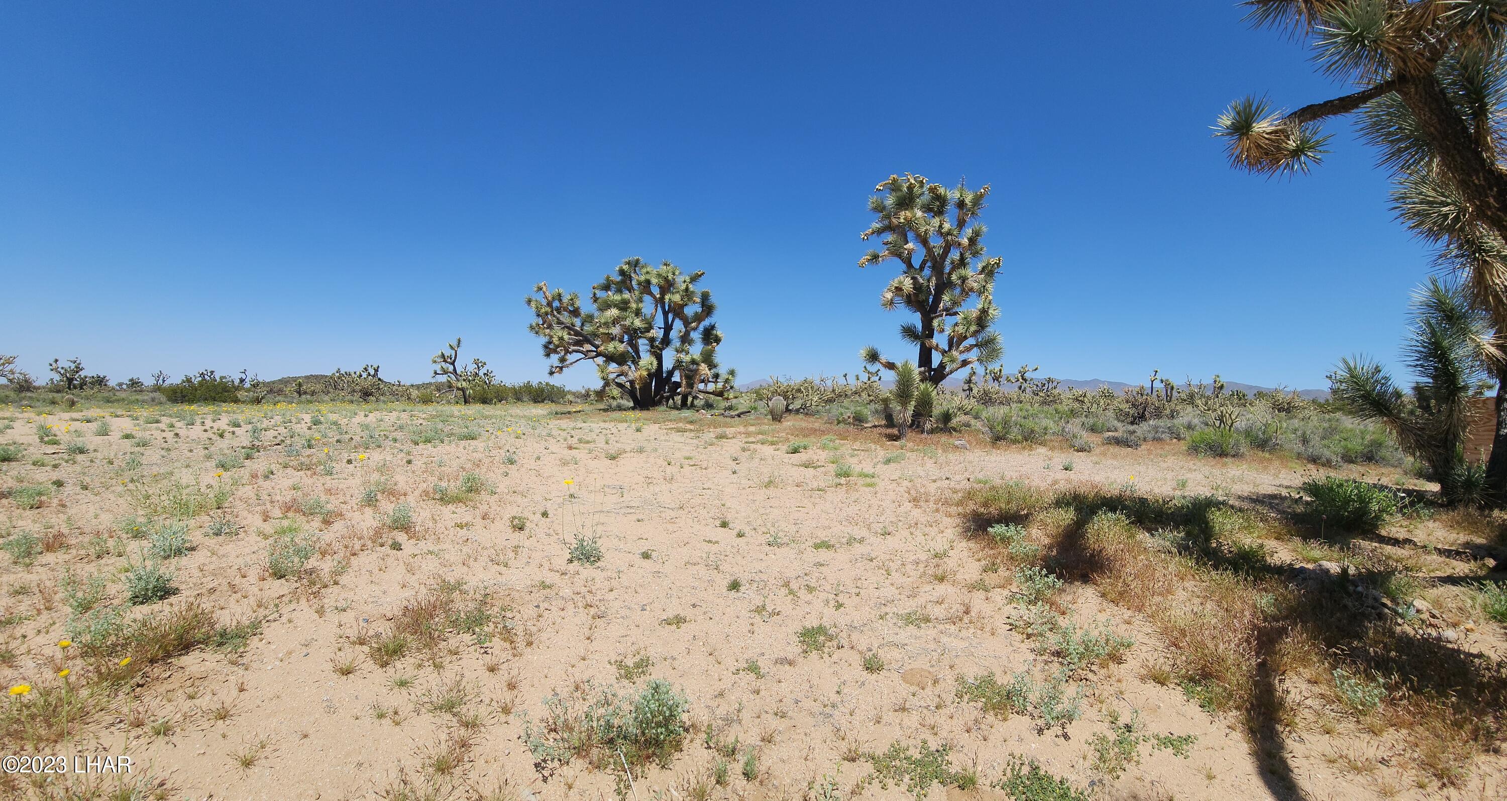 2364 South Gold Mine Road Yucca, AZ 86438 - Photo 25 of 51 20230415_120839