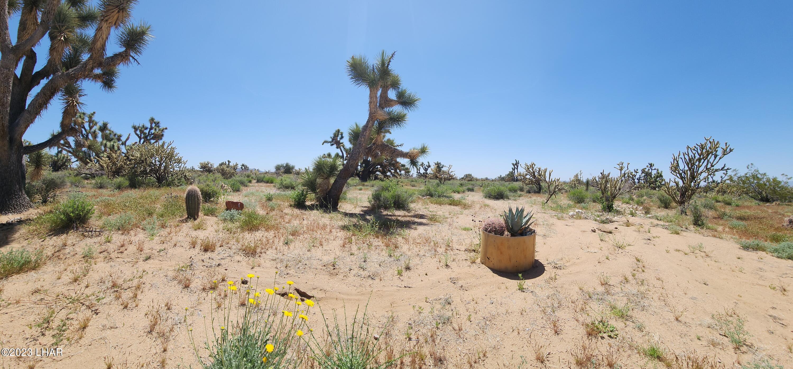 2364 South Gold Mine Road Yucca, AZ 86438 - Photo 26 of 51 20230415_120954