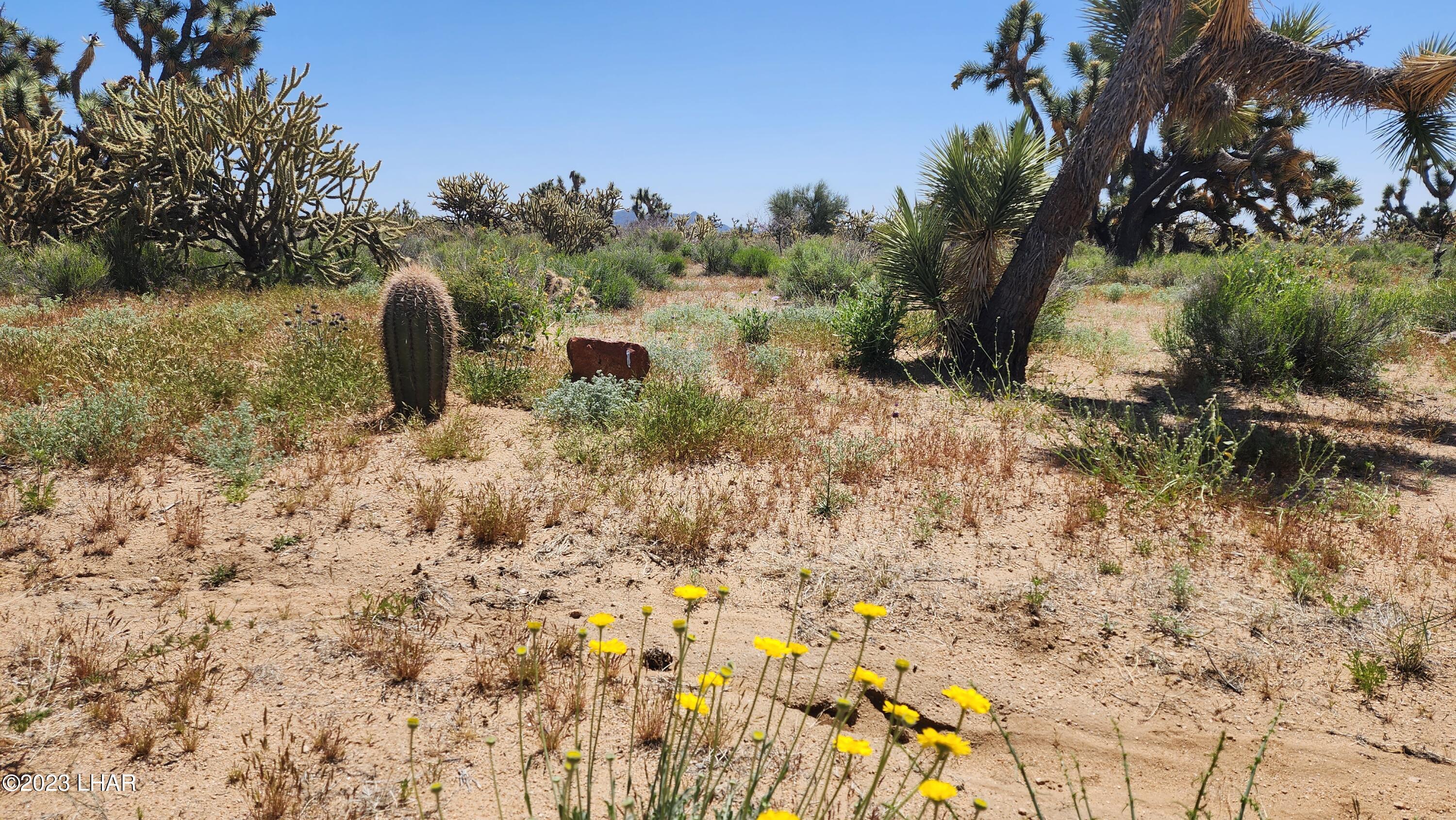 2364 South Gold Mine Road Yucca, AZ 86438 - Photo 27 of 51 20230415_121016