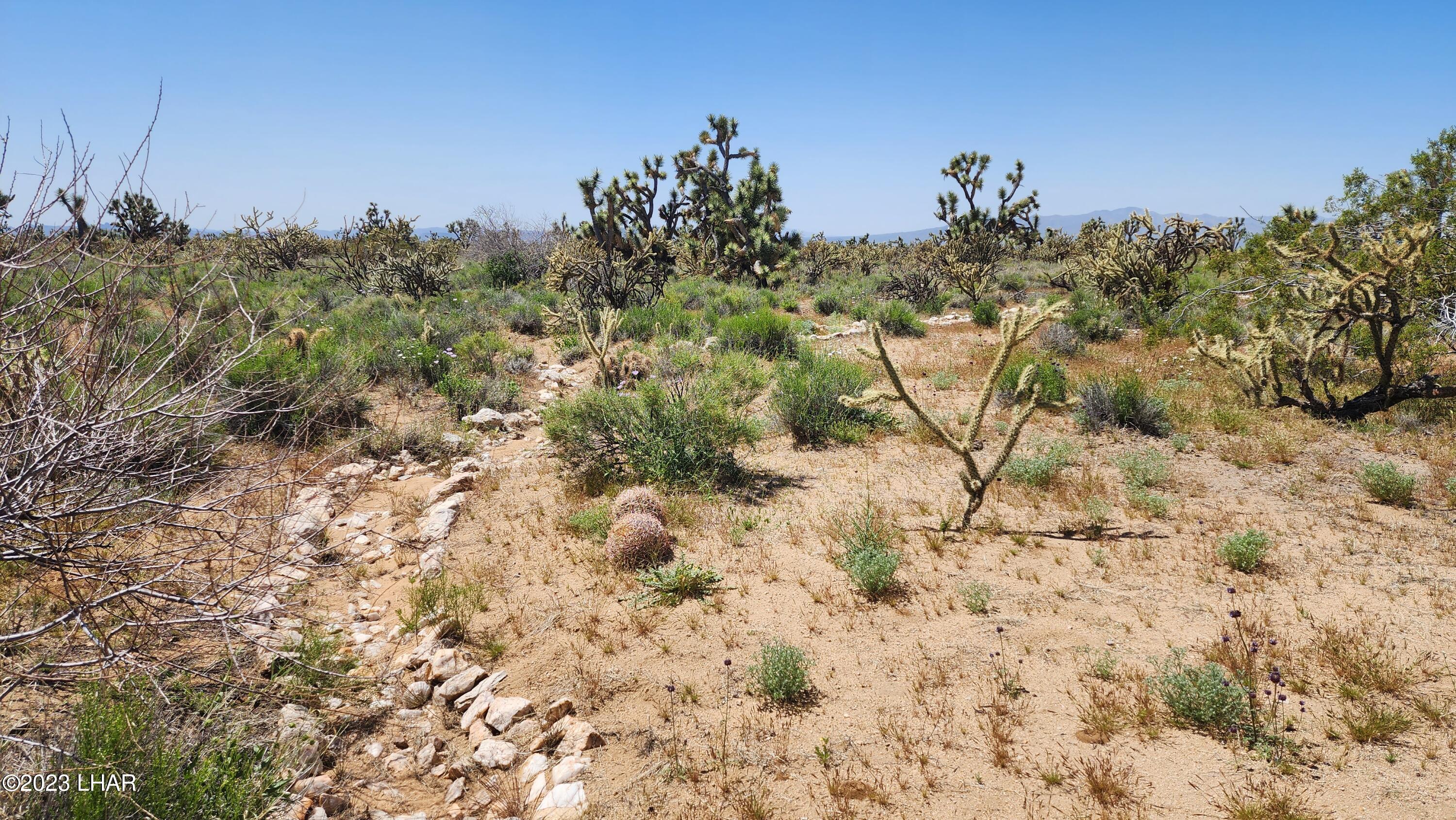 2364 South Gold Mine Road Yucca, AZ 86438 - Photo 28 of 51 20230415_121035