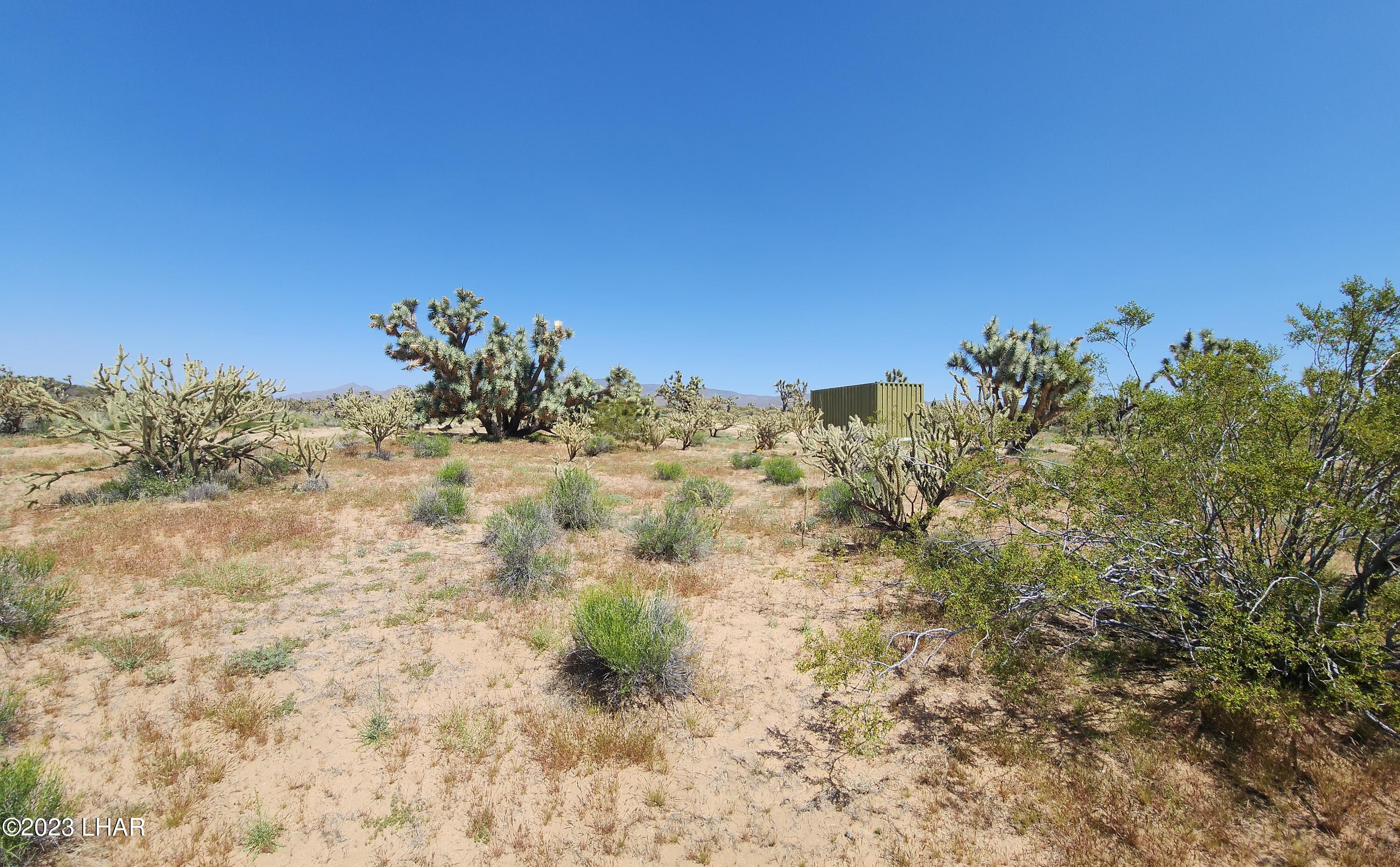 2364 South Gold Mine Road Yucca, AZ 86438 - Photo 29 of 51 20230415_121112