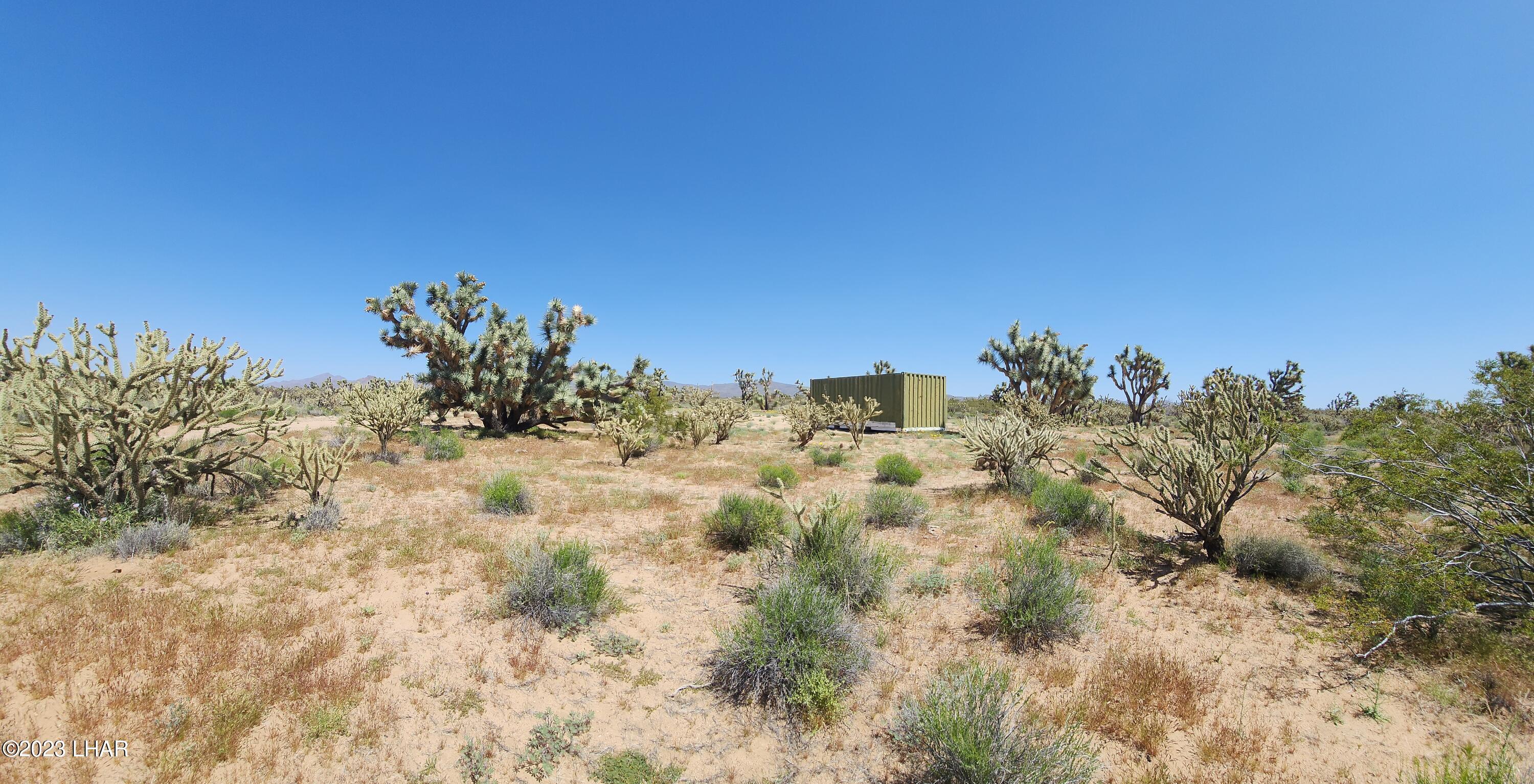 2364 South Gold Mine Road Yucca, AZ 86438 - Photo 30 of 51 20230415_121144