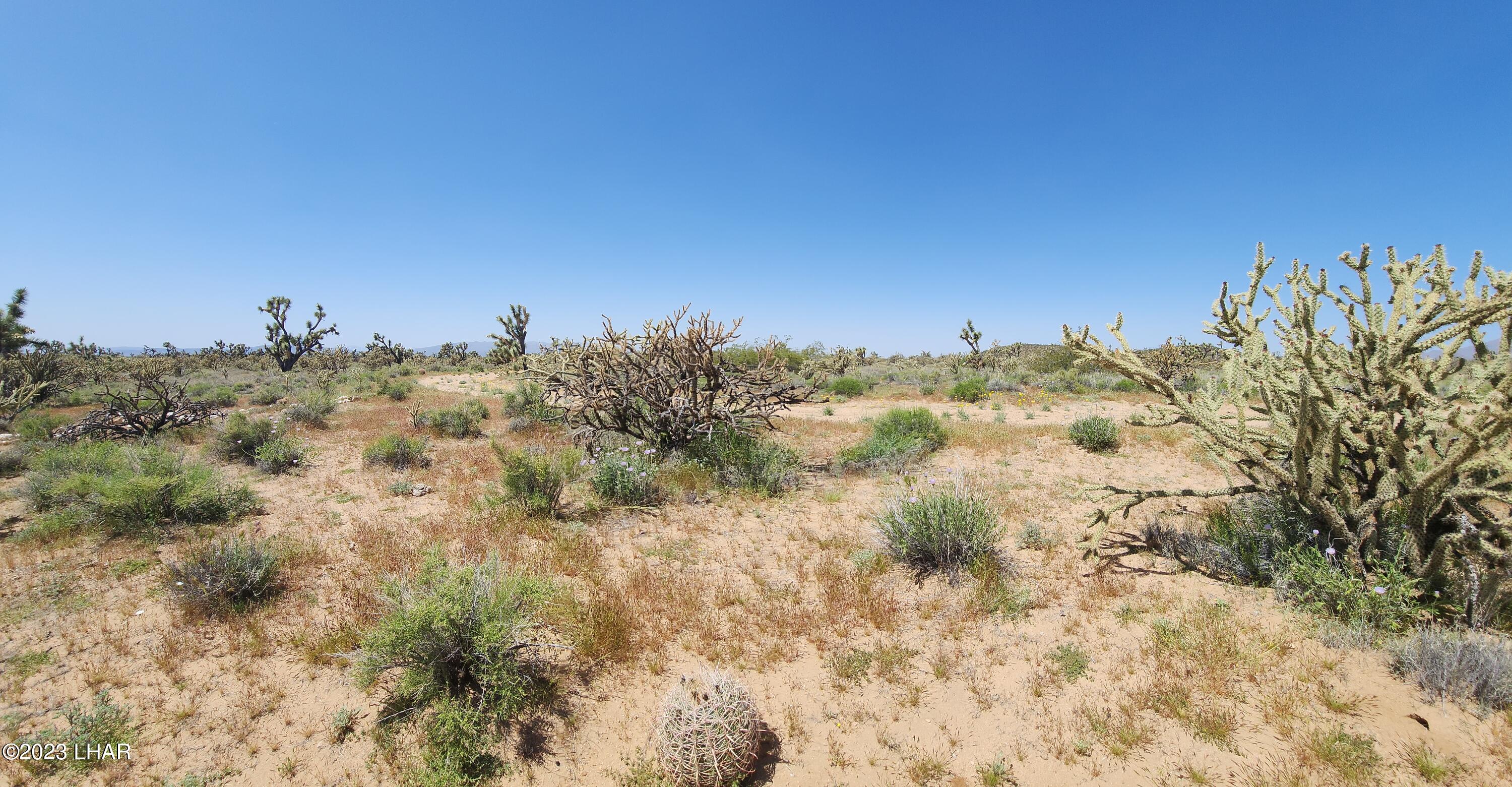 2364 South Gold Mine Road Yucca, AZ 86438 - Photo 31 of 51 20230415_121202