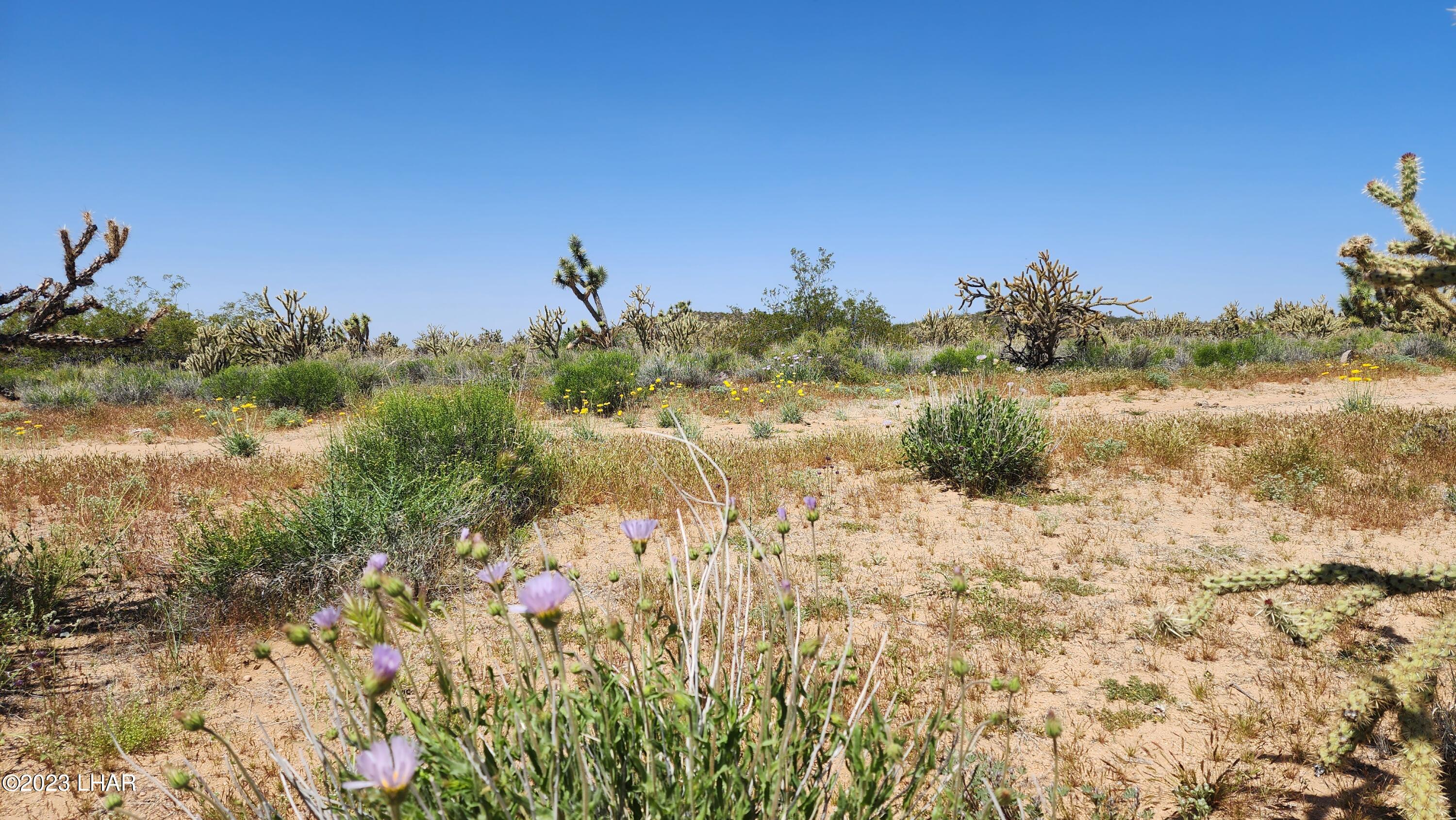 2364 South Gold Mine Road Yucca, AZ 86438 - Photo 32 of 51 20230415_121224