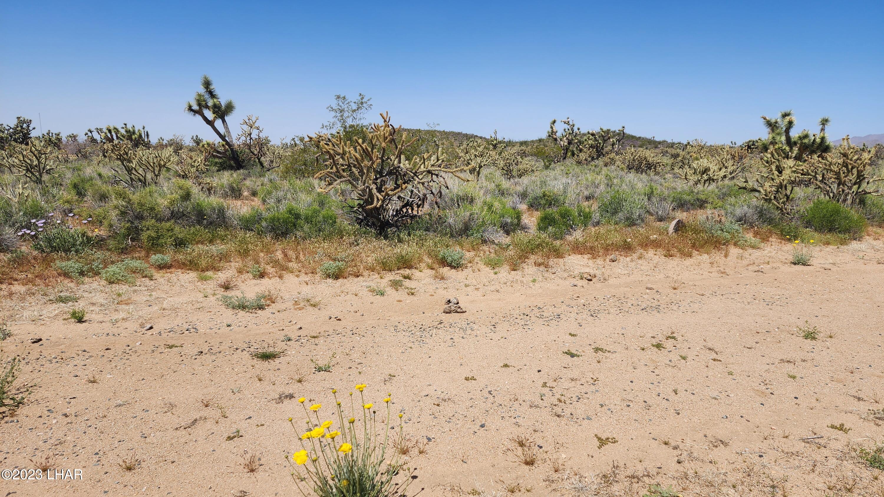 2364 South Gold Mine Road Yucca, AZ 86438 - Photo 33 of 51 20230415_121238