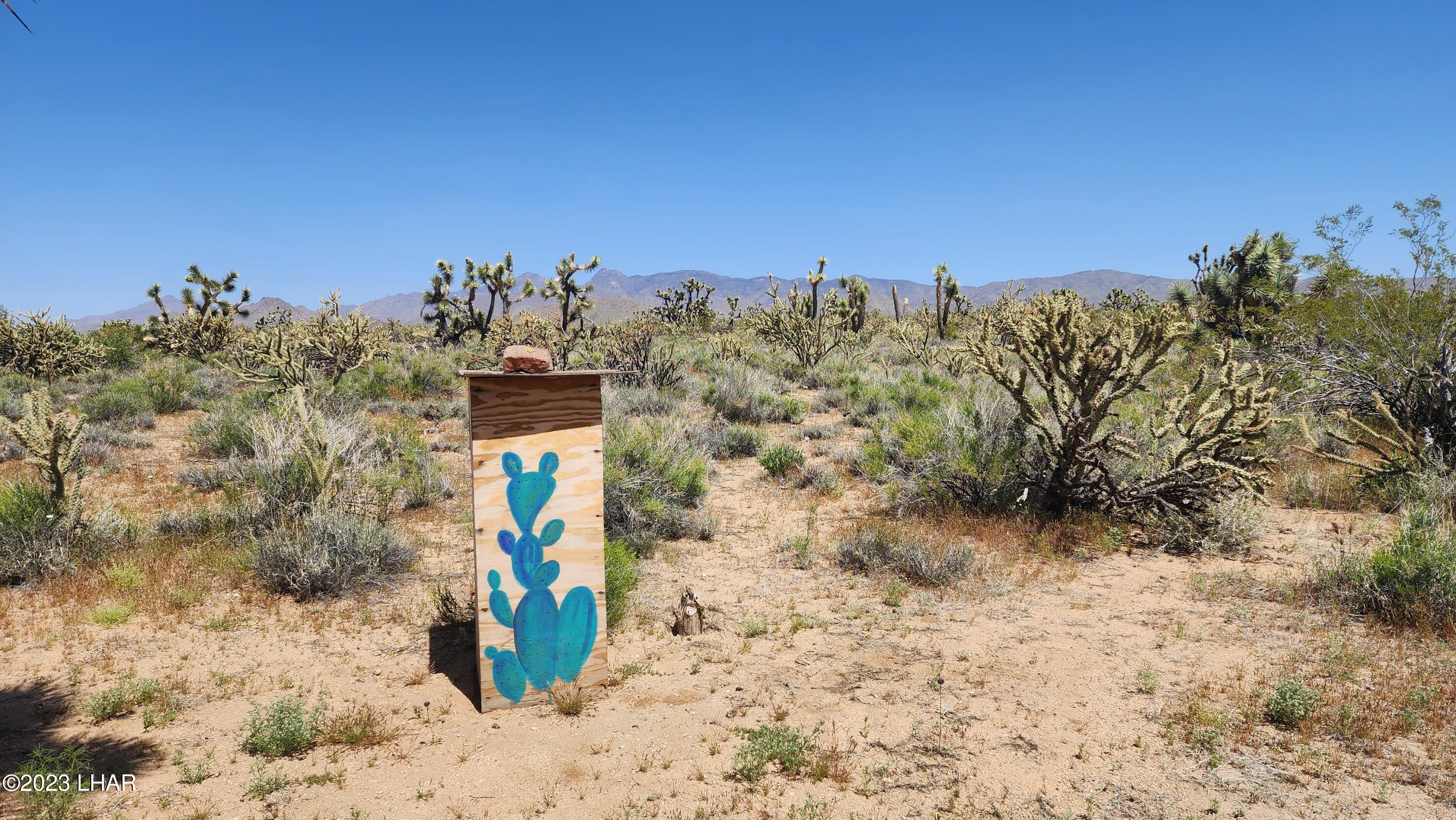 2364 South Gold Mine Road Yucca, AZ 86438 - Photo 35 of 51 20230415_121354