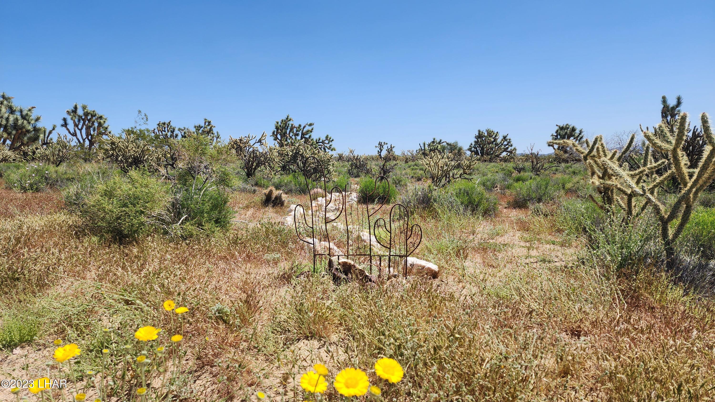 2364 South Gold Mine Road Yucca, AZ 86438 - Photo 36 of 51 20230415_121853