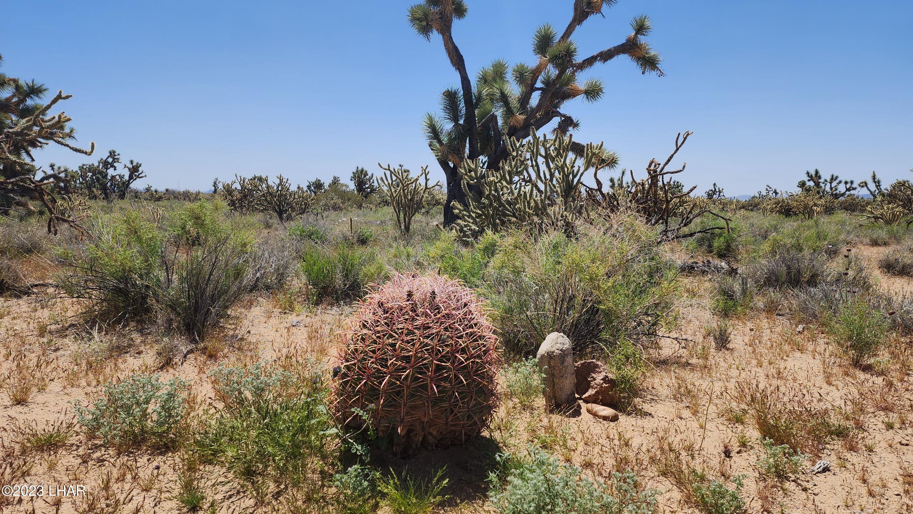 2364 South Gold Mine Road Yucca, AZ 86438 - Photo 37 of 51 20230415_121914