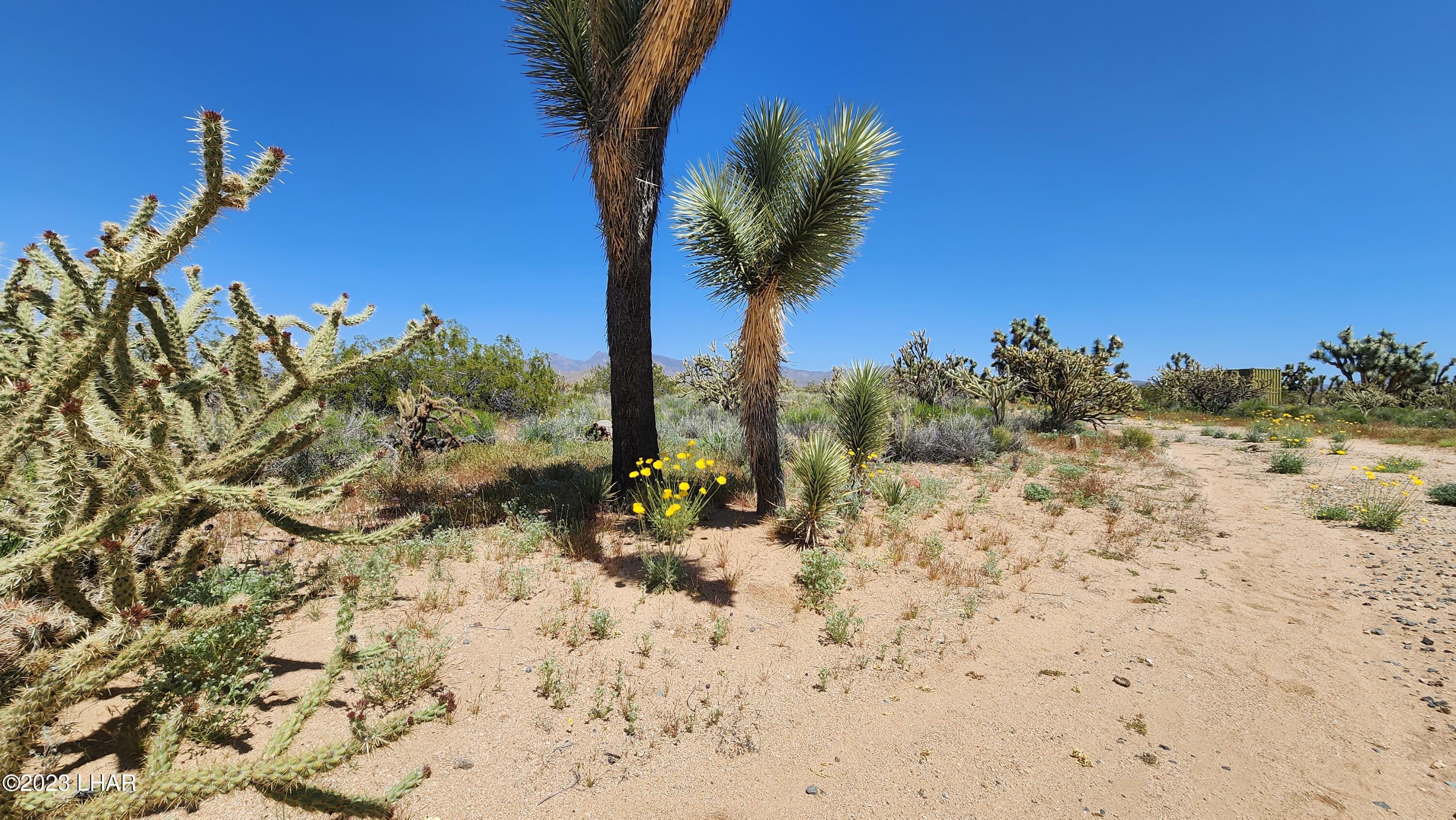 2364 South Gold Mine Road Yucca, AZ 86438 - Photo 39 of 51 20230415_121932