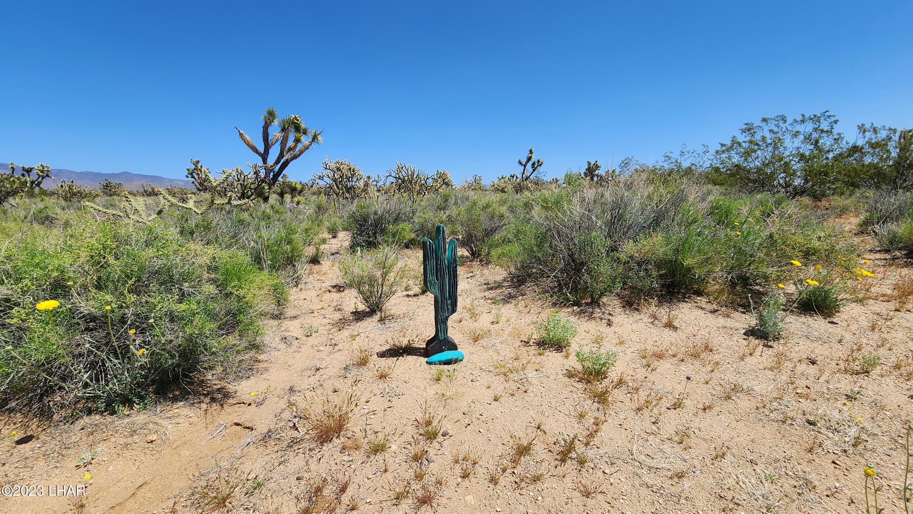 2364 South Gold Mine Road Yucca, AZ 86438 - Photo 40 of 51 20230415_122034