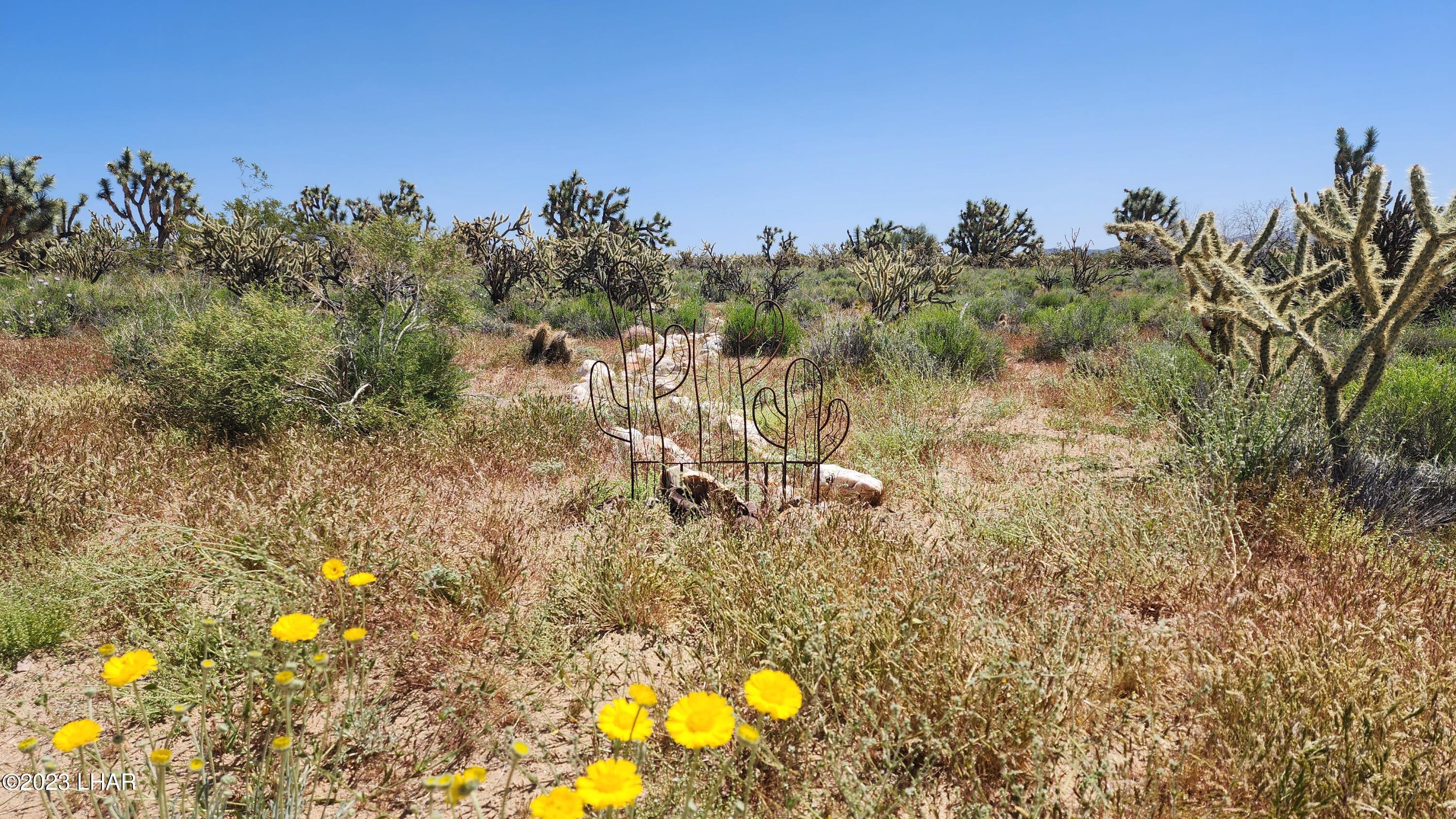 2364 South Gold Mine Road Yucca, AZ 86438 - Photo 4 of 51 Gorgeous Property