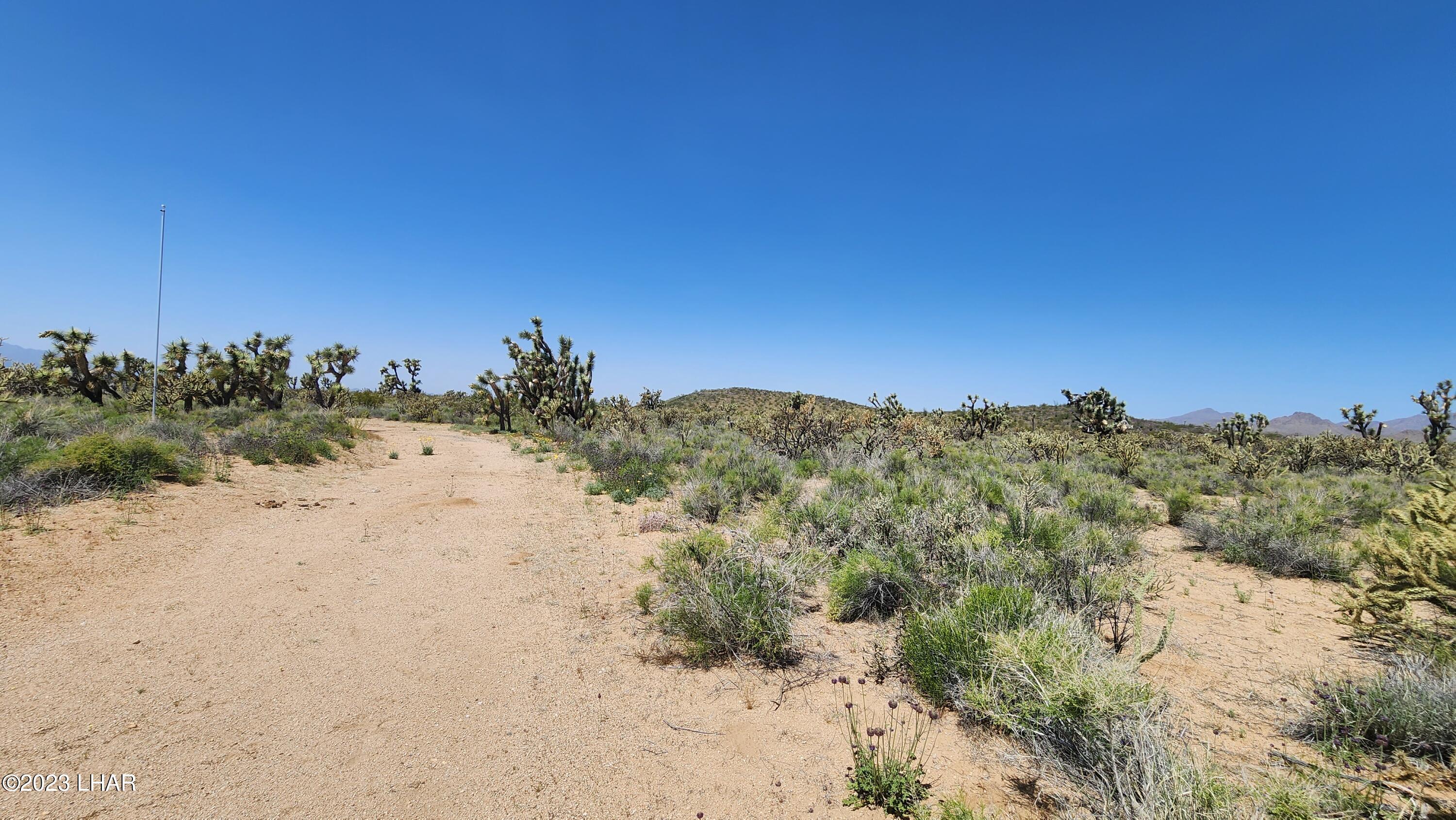 2364 South Gold Mine Road Yucca, AZ 86438 - Photo 41 of 51 20230415_122106