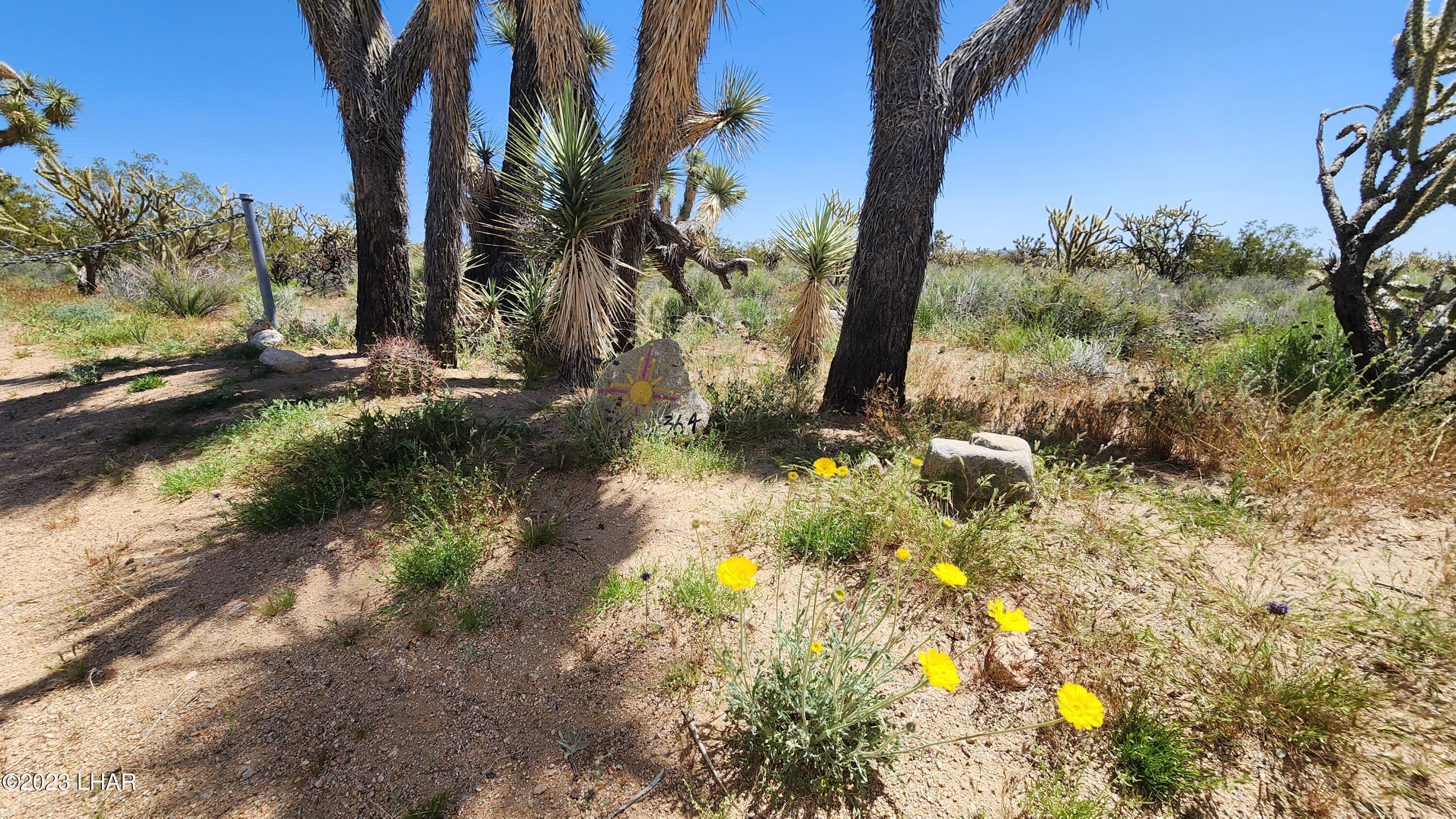2364 South Gold Mine Road Yucca, AZ 86438 - Photo 42 of 51 20230415_122350