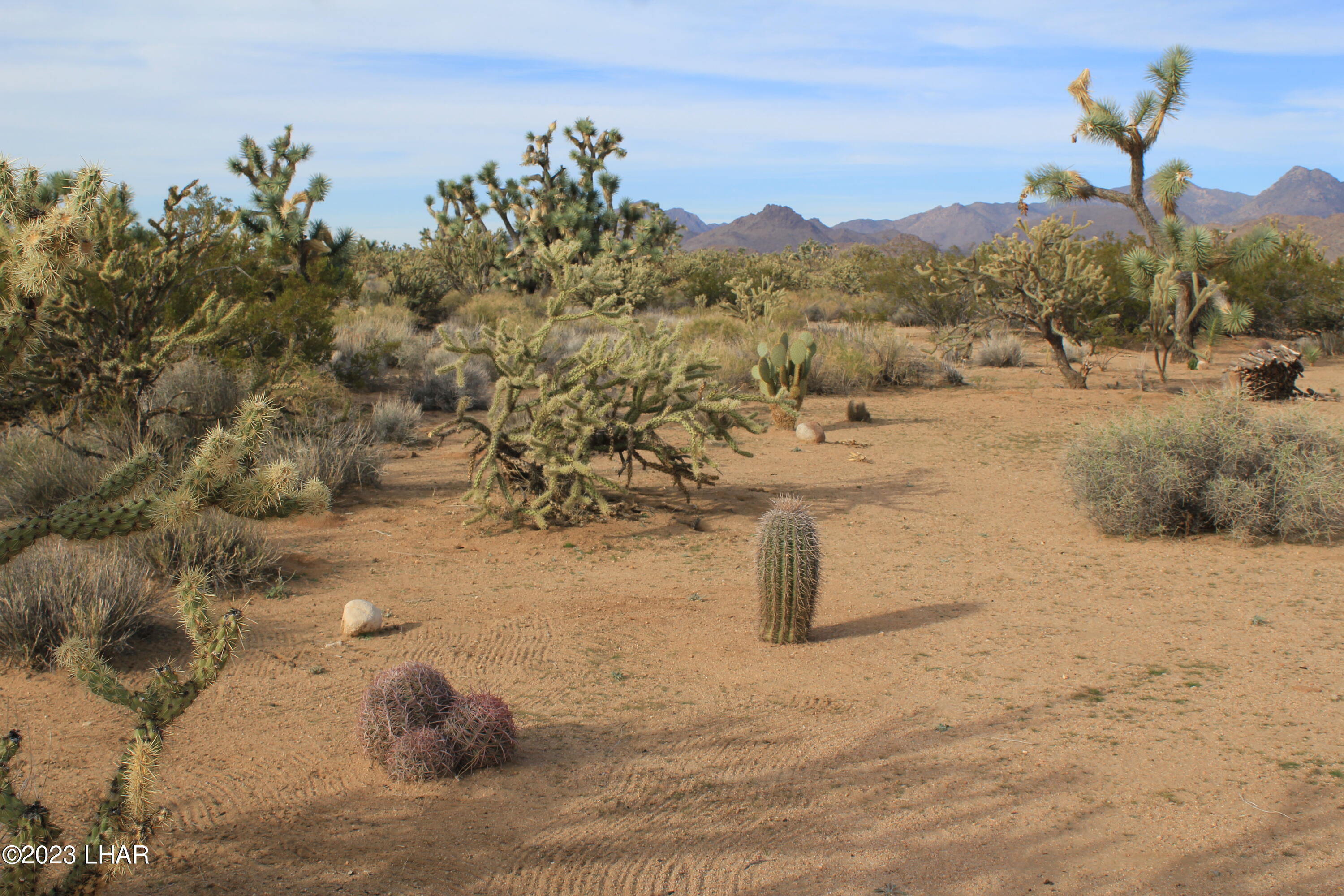 2364 South Gold Mine Road Yucca, AZ 86438 - Photo 44 of 51 IMG_0538 (1)